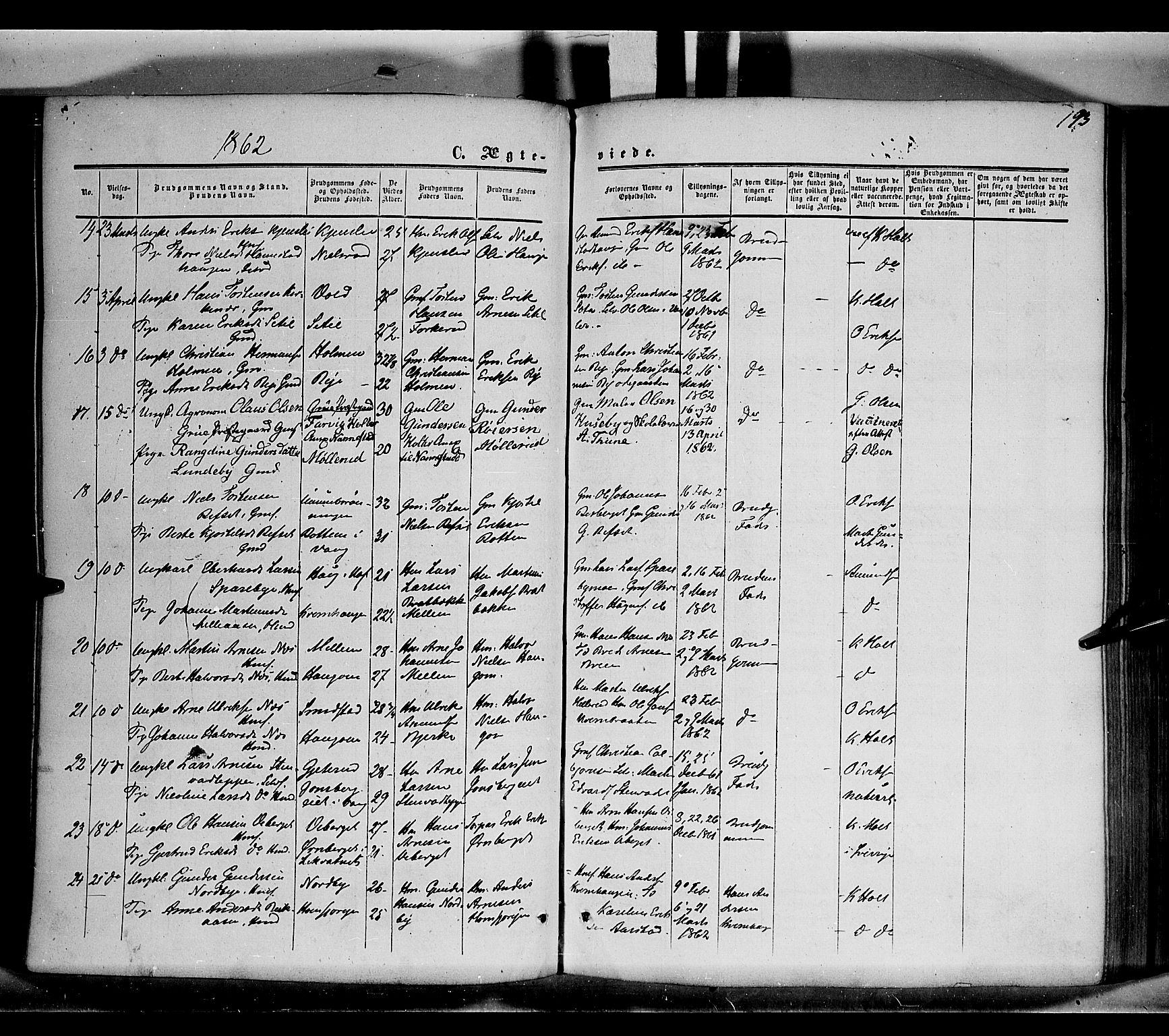 Grue prestekontor, SAH/PREST-036/H/Ha/Haa/L0009: Parish register (official) no. 9, 1859-1863, p. 193