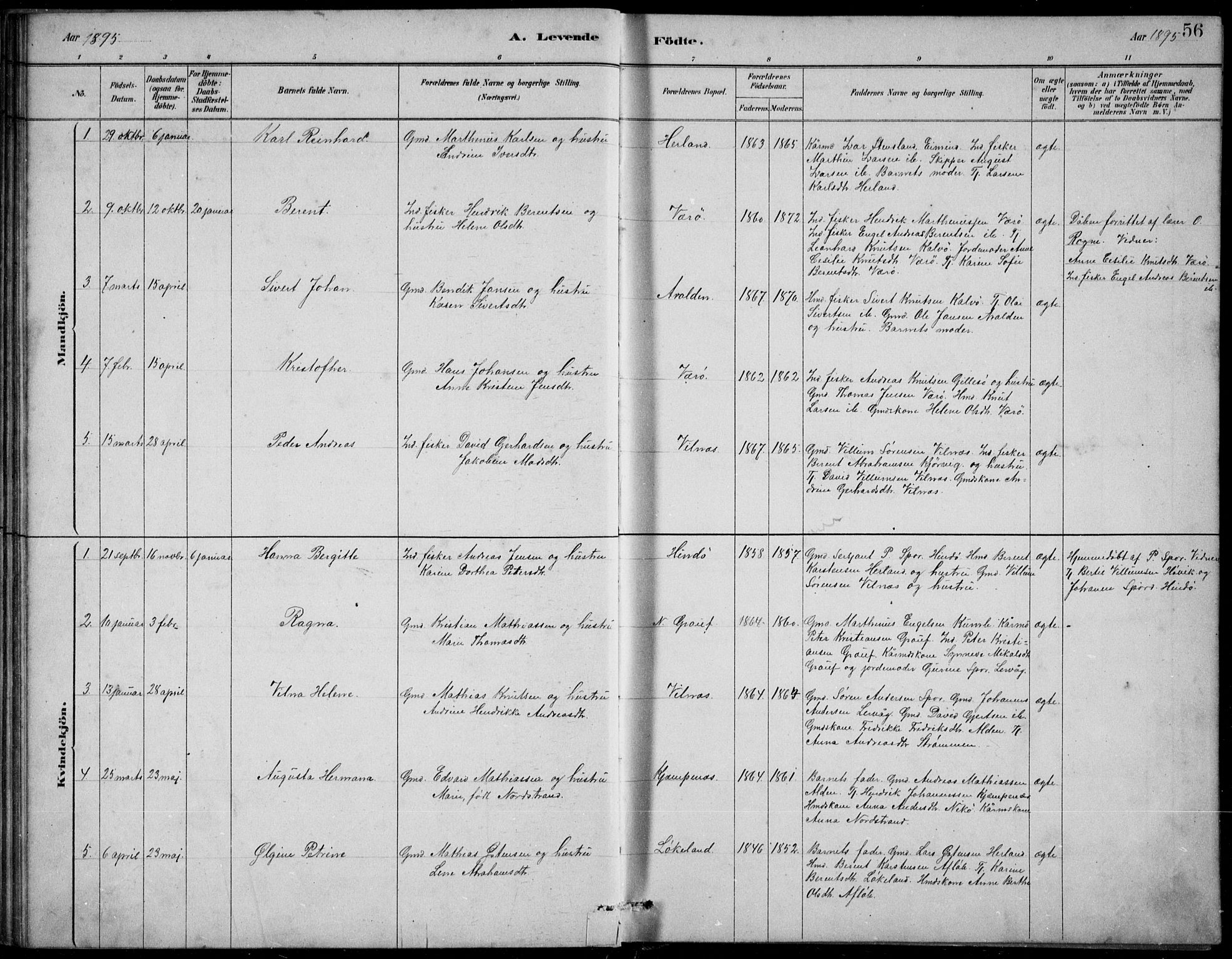 Askvoll sokneprestembete, SAB/A-79501/H/Hab/Habb/L0001: Parish register (copy) no. B 1, 1879-1909, p. 56