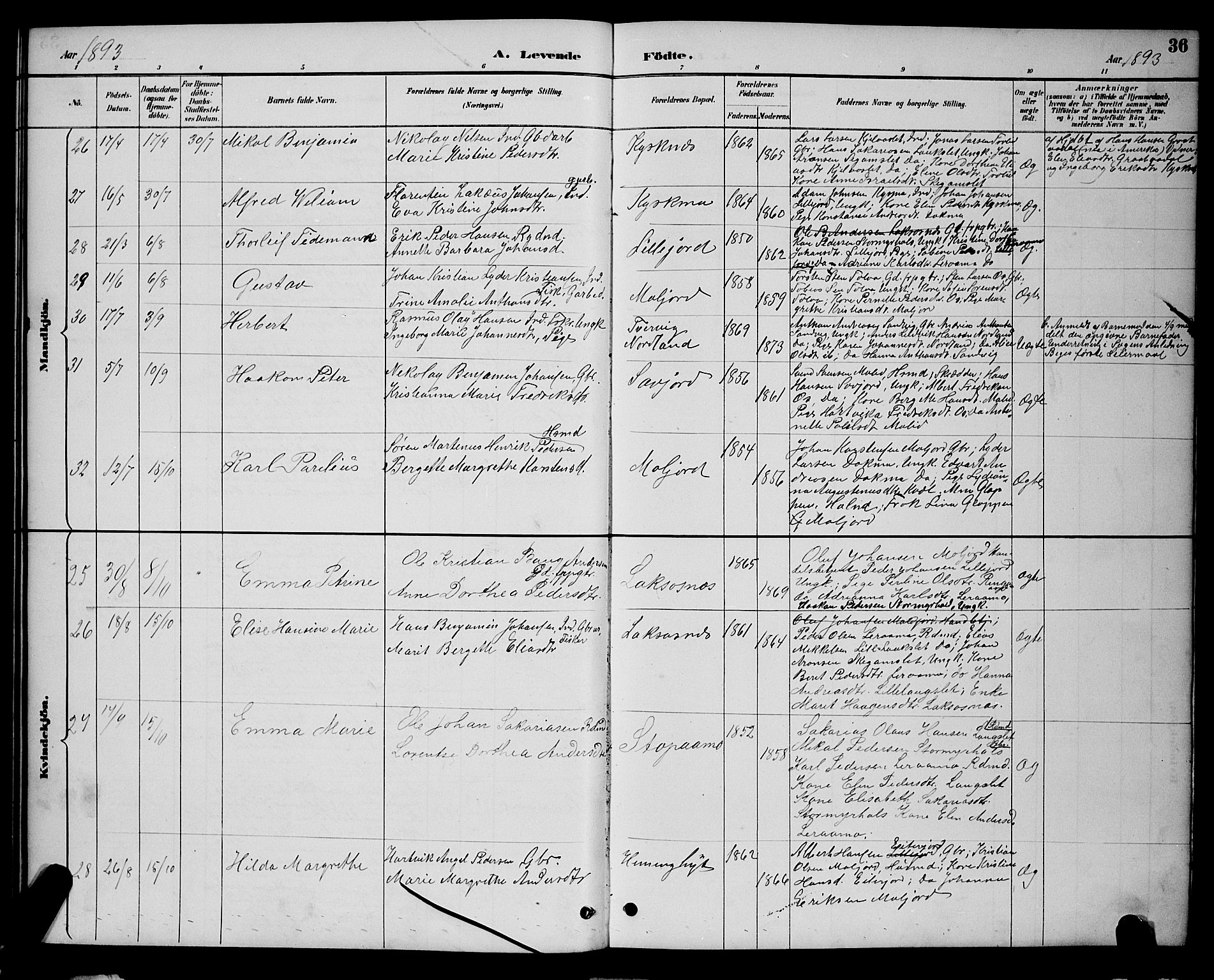 Ministerialprotokoller, klokkerbøker og fødselsregistre - Nordland, AV/SAT-A-1459/846/L0654: Parish register (copy) no. 846C04, 1887-1901, p. 36