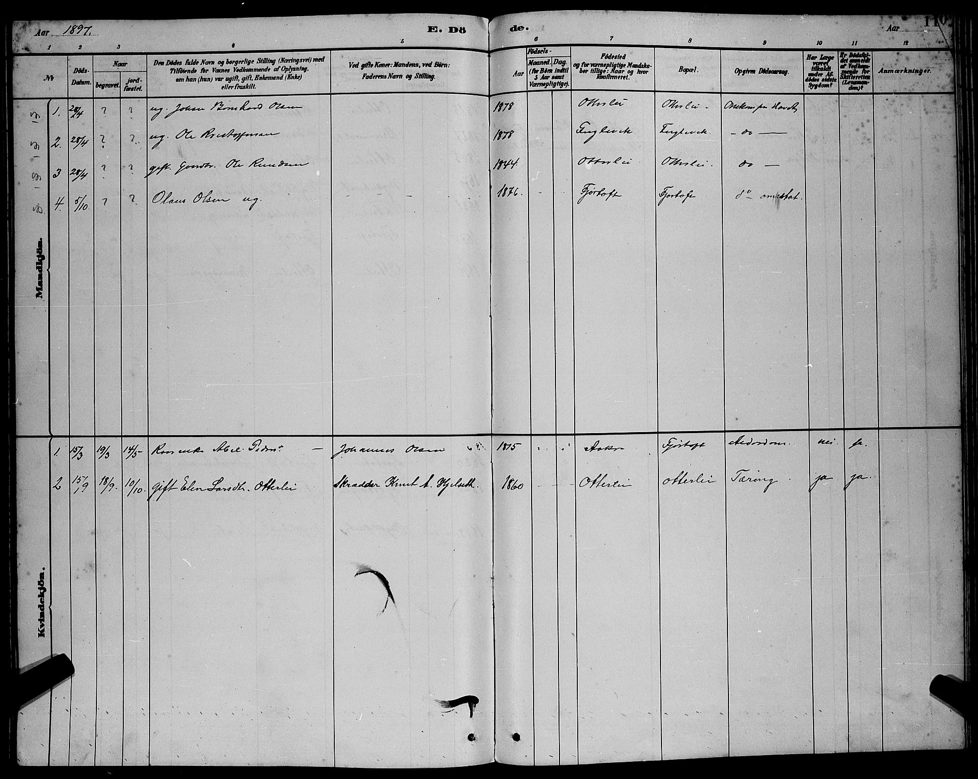 Ministerialprotokoller, klokkerbøker og fødselsregistre - Møre og Romsdal, SAT/A-1454/538/L0523: Parish register (copy) no. 538C01, 1881-1900, p. 119