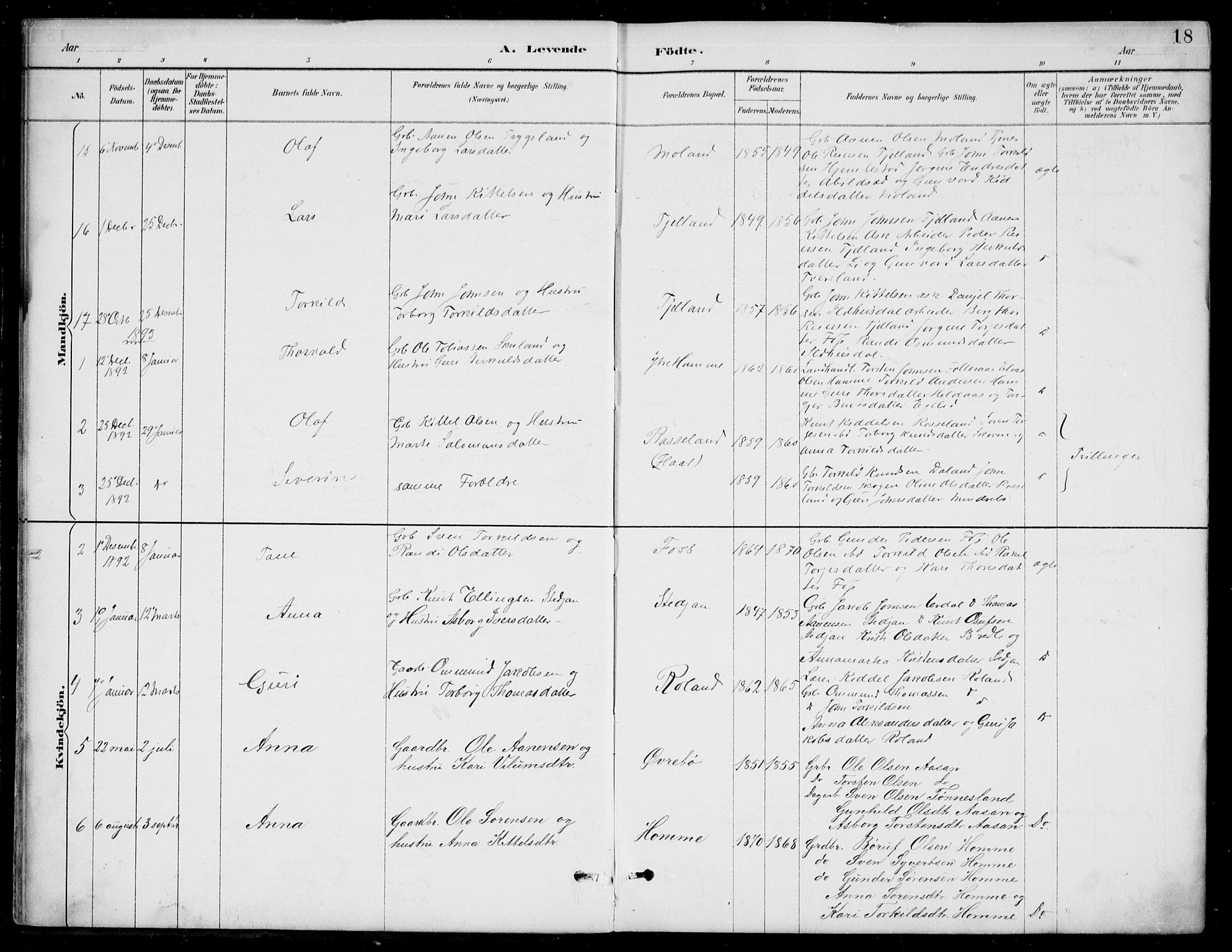 Bjelland sokneprestkontor, AV/SAK-1111-0005/F/Fb/Fba/L0005: Parish register (copy) no. B 5, 1887-1923, p. 18