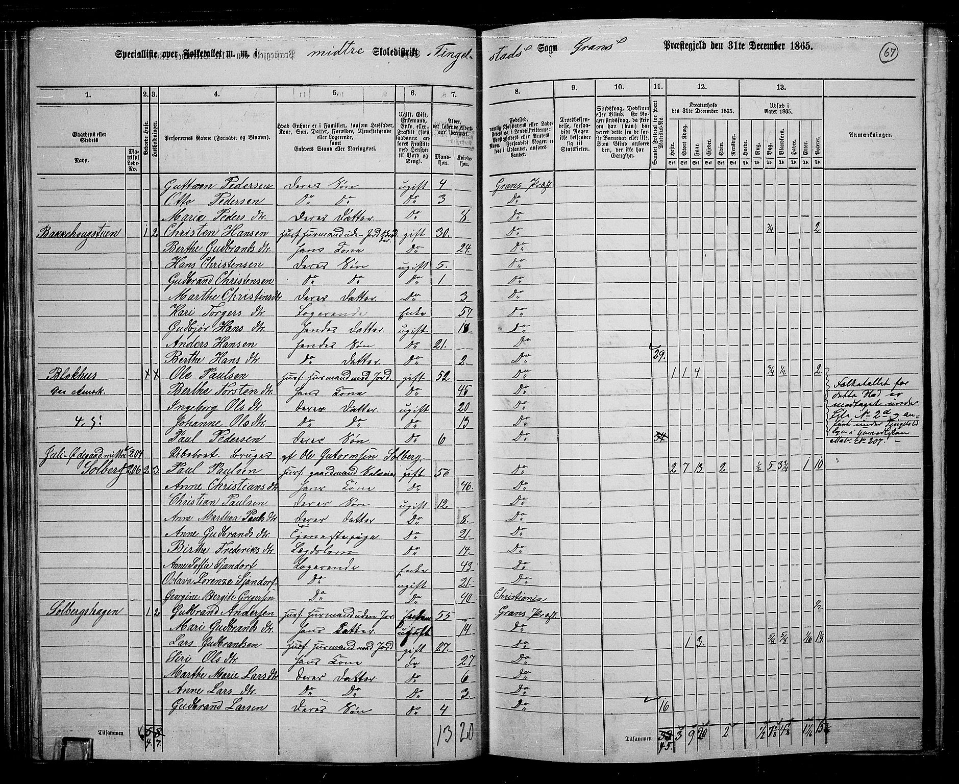 RA, 1865 census for Gran, 1865, p. 250