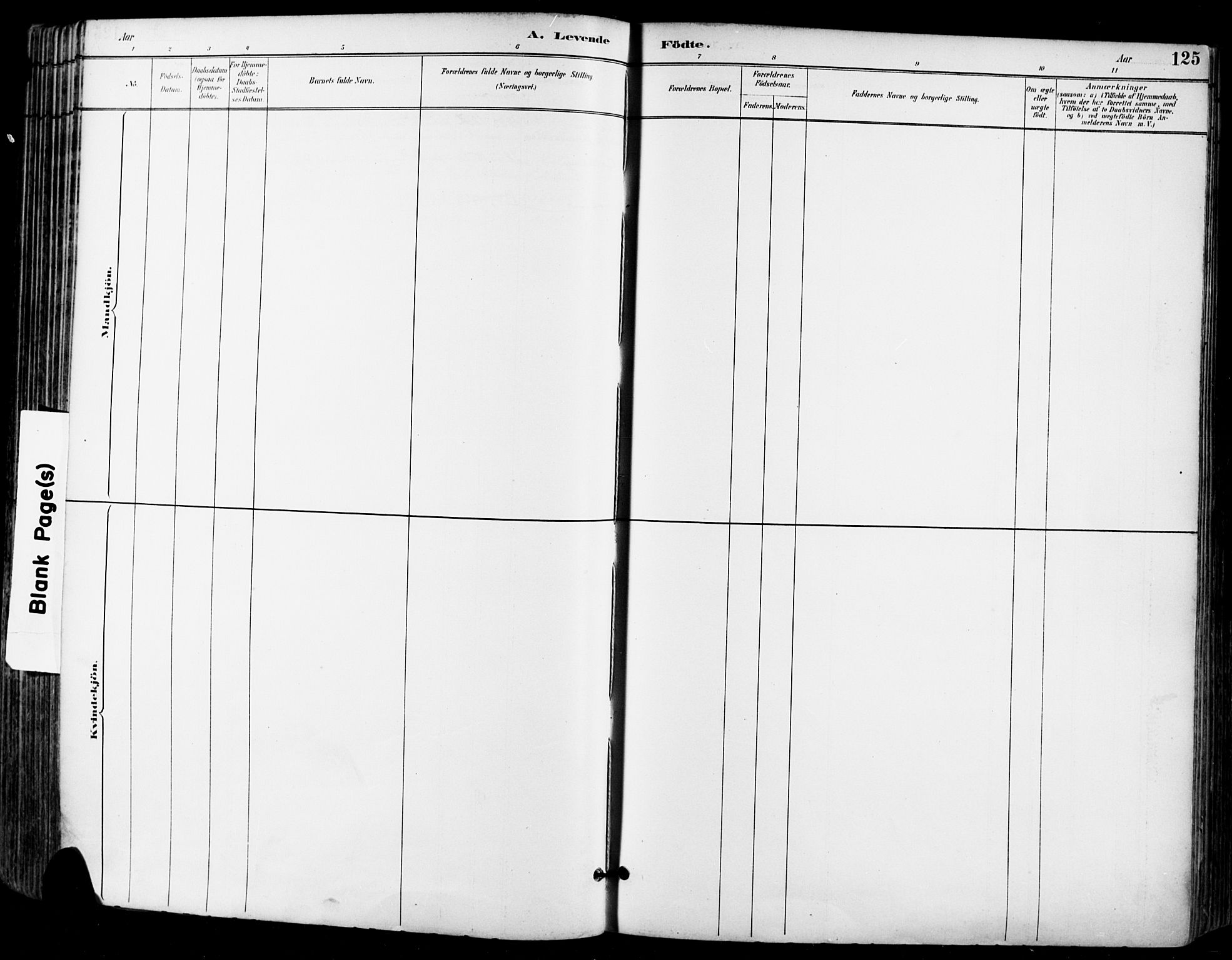 Sande Kirkebøker, AV/SAKO-A-53/F/Fa/L0007: Parish register (official) no. 7, 1888-1903, p. 125