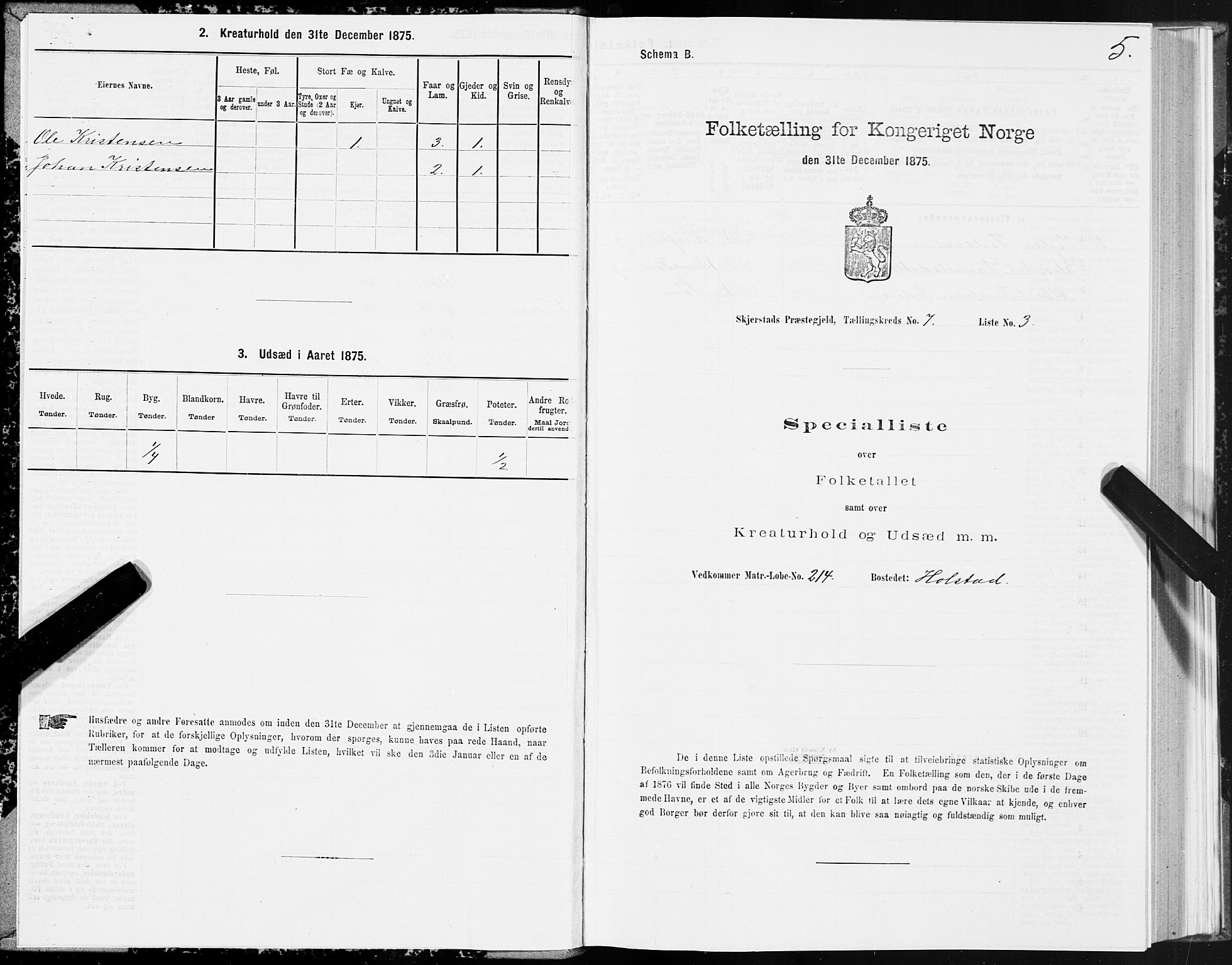 SAT, 1875 census for 1842P Skjerstad, 1875, p. 4005