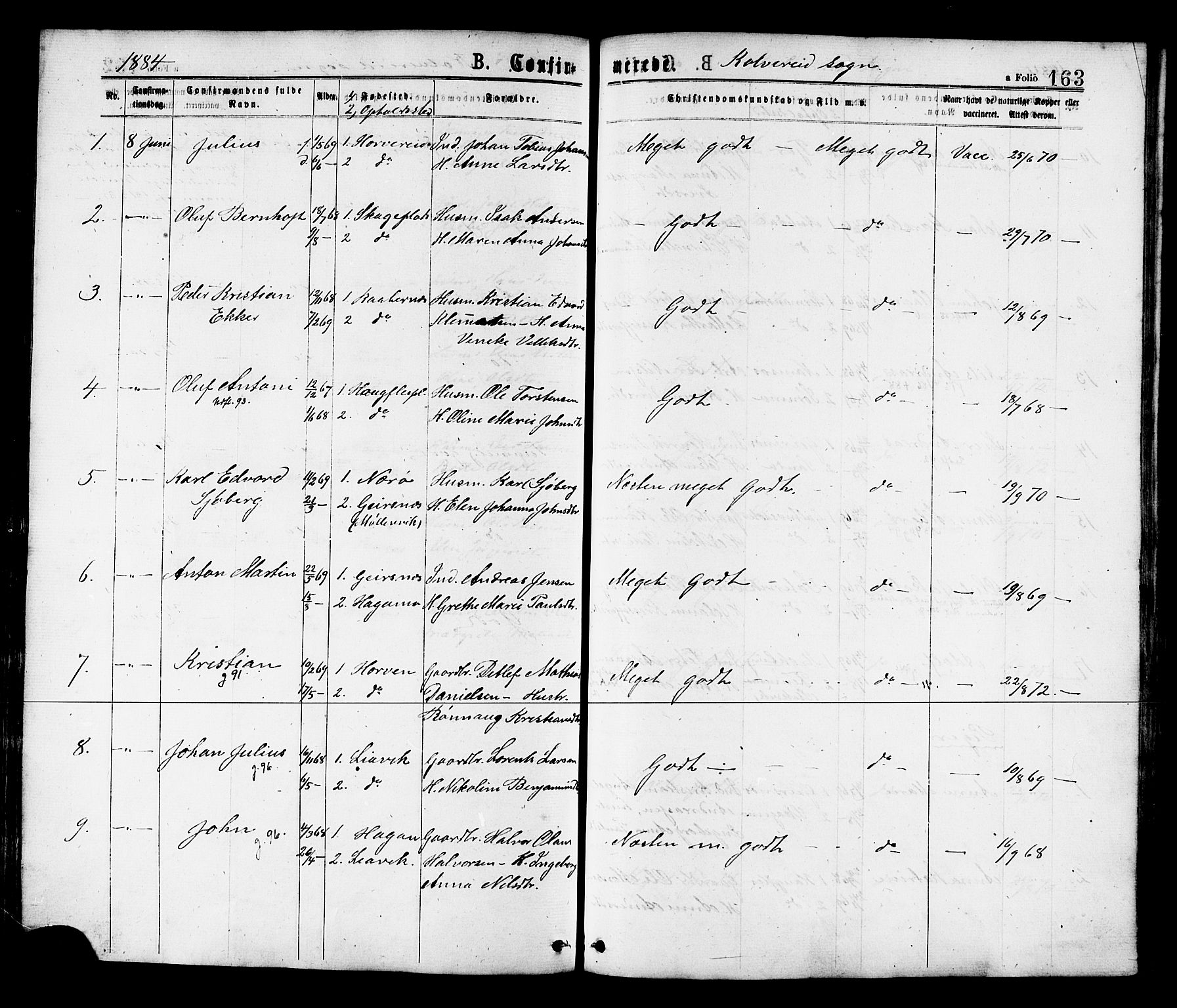Ministerialprotokoller, klokkerbøker og fødselsregistre - Nord-Trøndelag, SAT/A-1458/780/L0642: Parish register (official) no. 780A07 /1, 1874-1885, p. 163