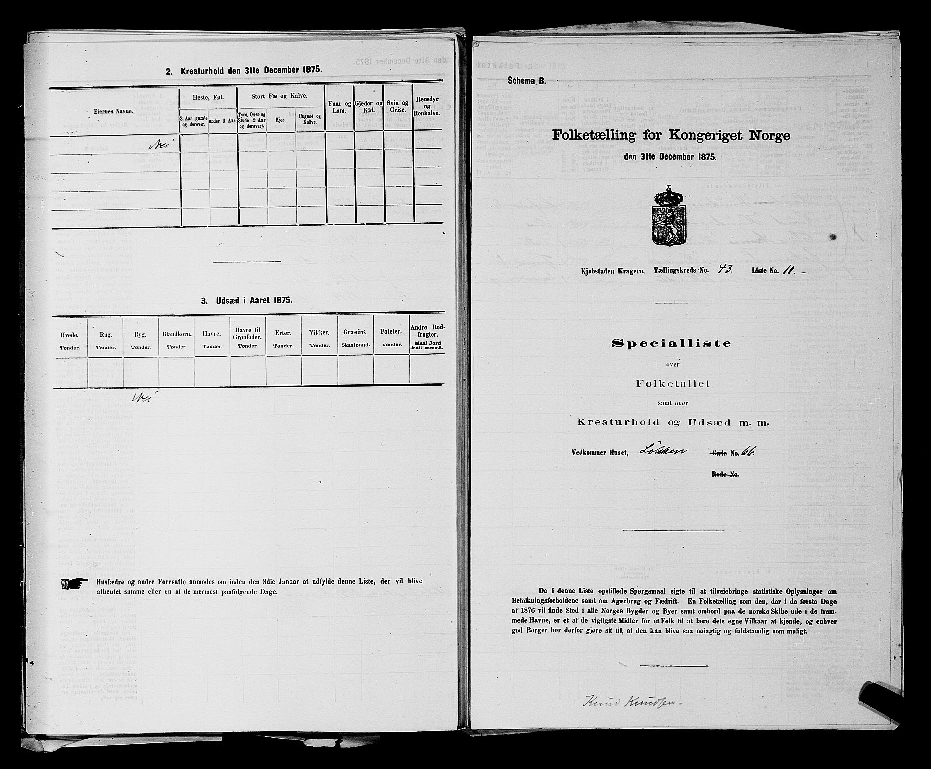 SAKO, 1875 census for 0801P Kragerø, 1875, p. 961