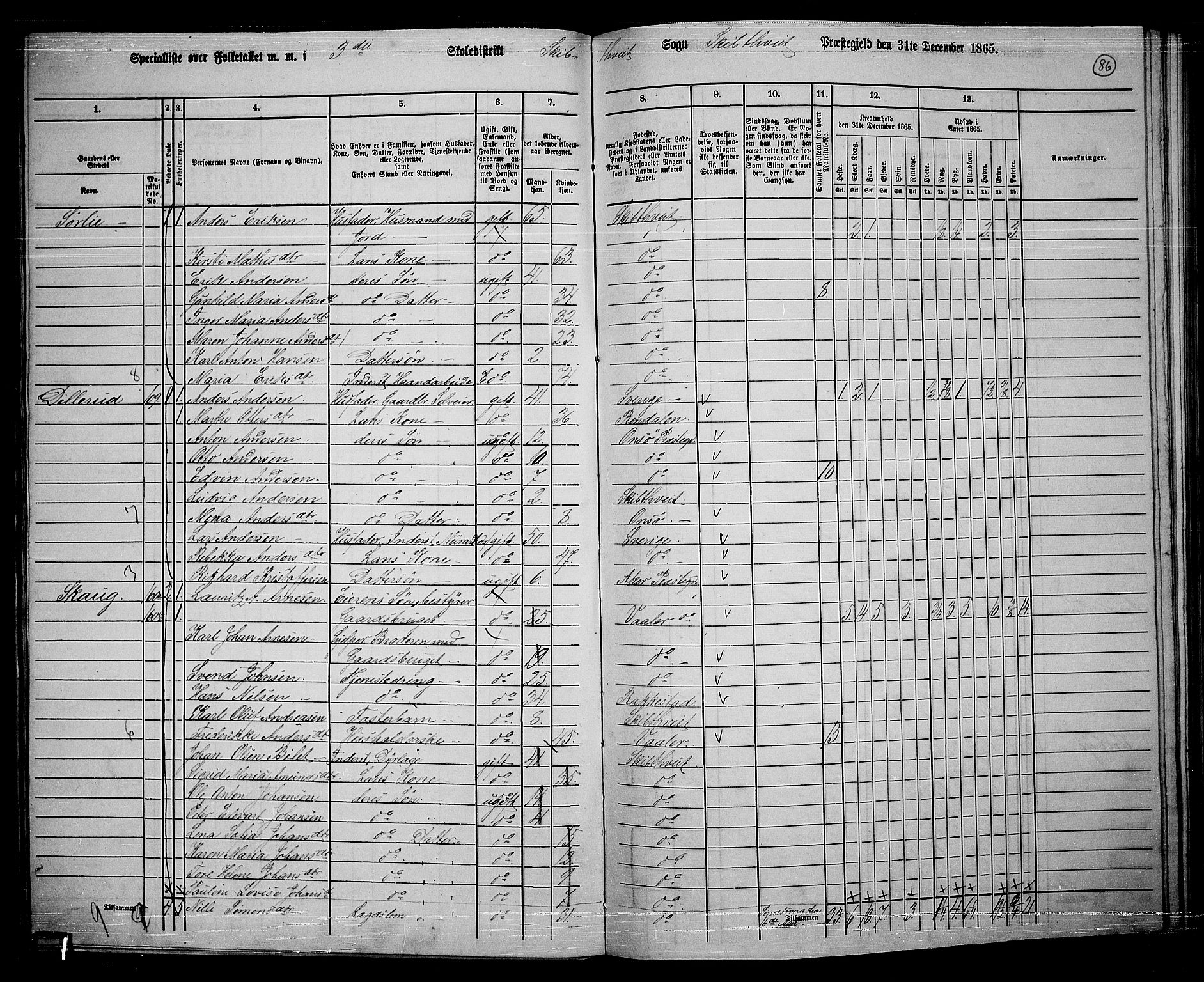 RA, 1865 census for Skiptvet, 1865, p. 77