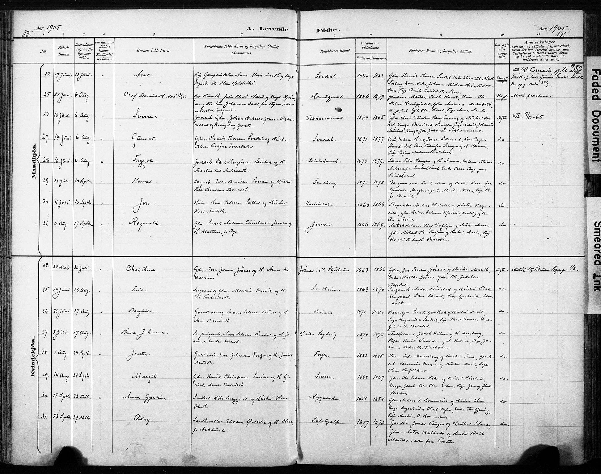 Ministerialprotokoller, klokkerbøker og fødselsregistre - Sør-Trøndelag, AV/SAT-A-1456/616/L0411: Parish register (official) no. 616A08, 1894-1906, p. 113-114