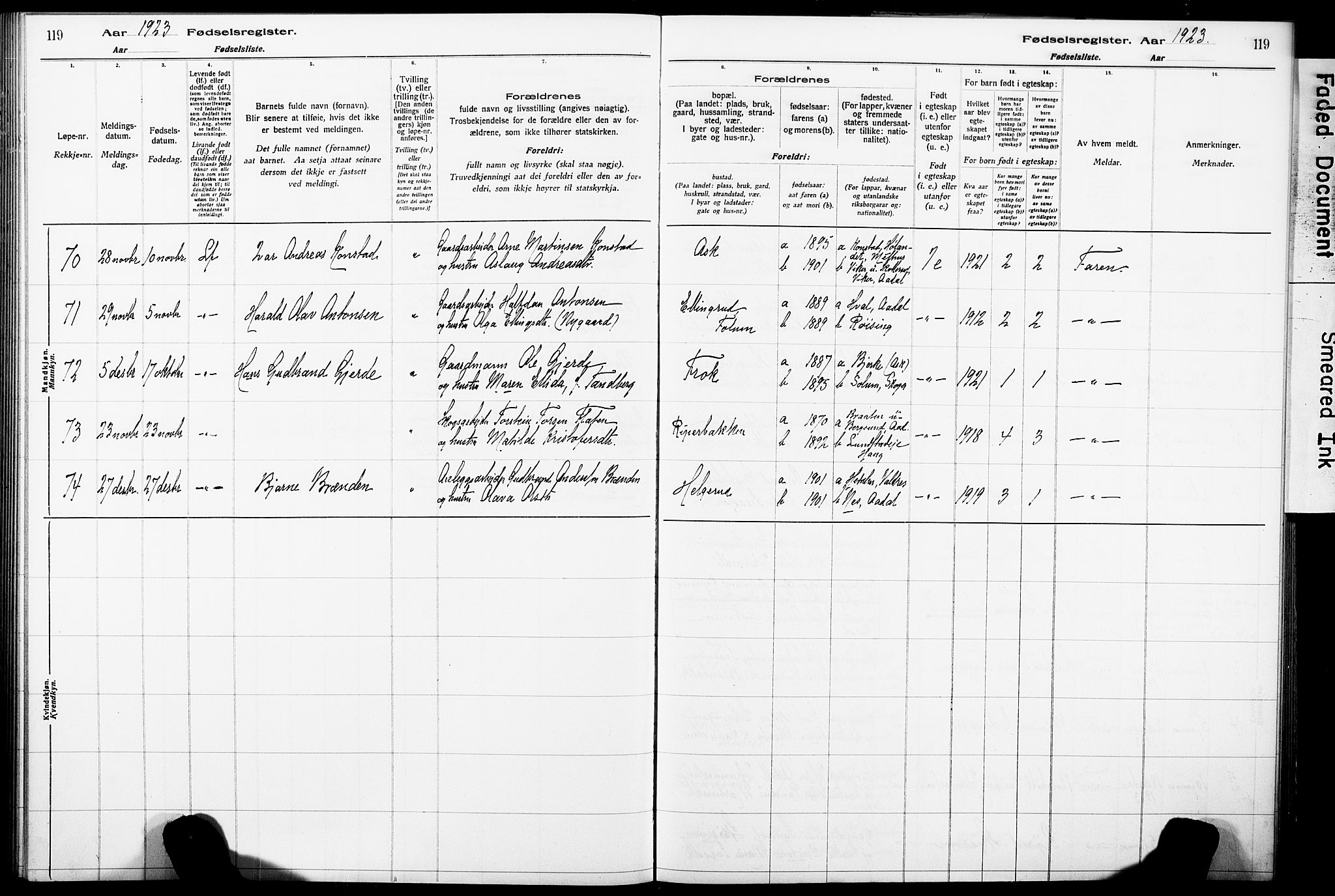 Norderhov kirkebøker, AV/SAKO-A-237/J/Ja/L0001: Birth register no. 1, 1916-1930, p. 119