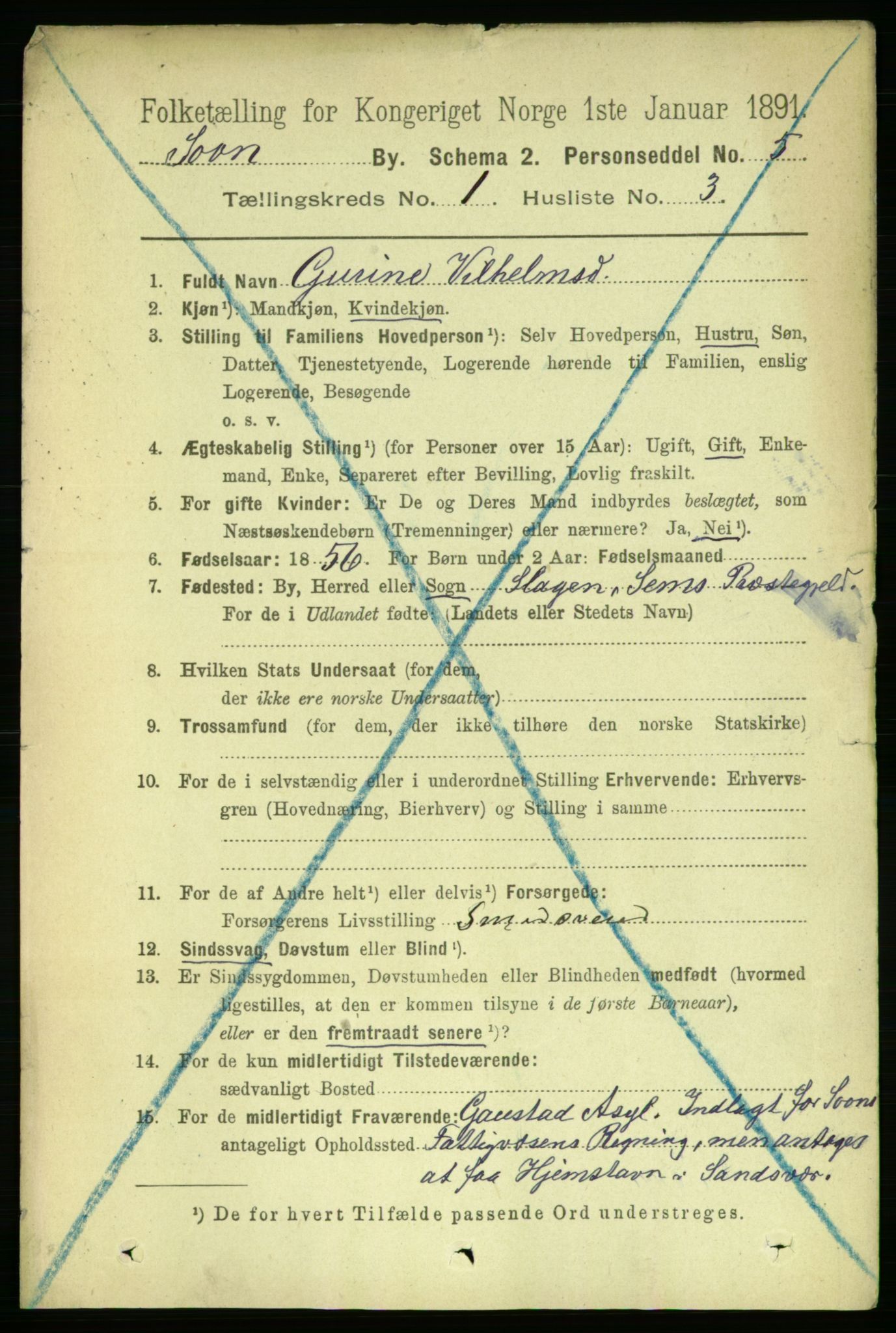RA, 1891 census for 0201 Son, 1891, p. 29