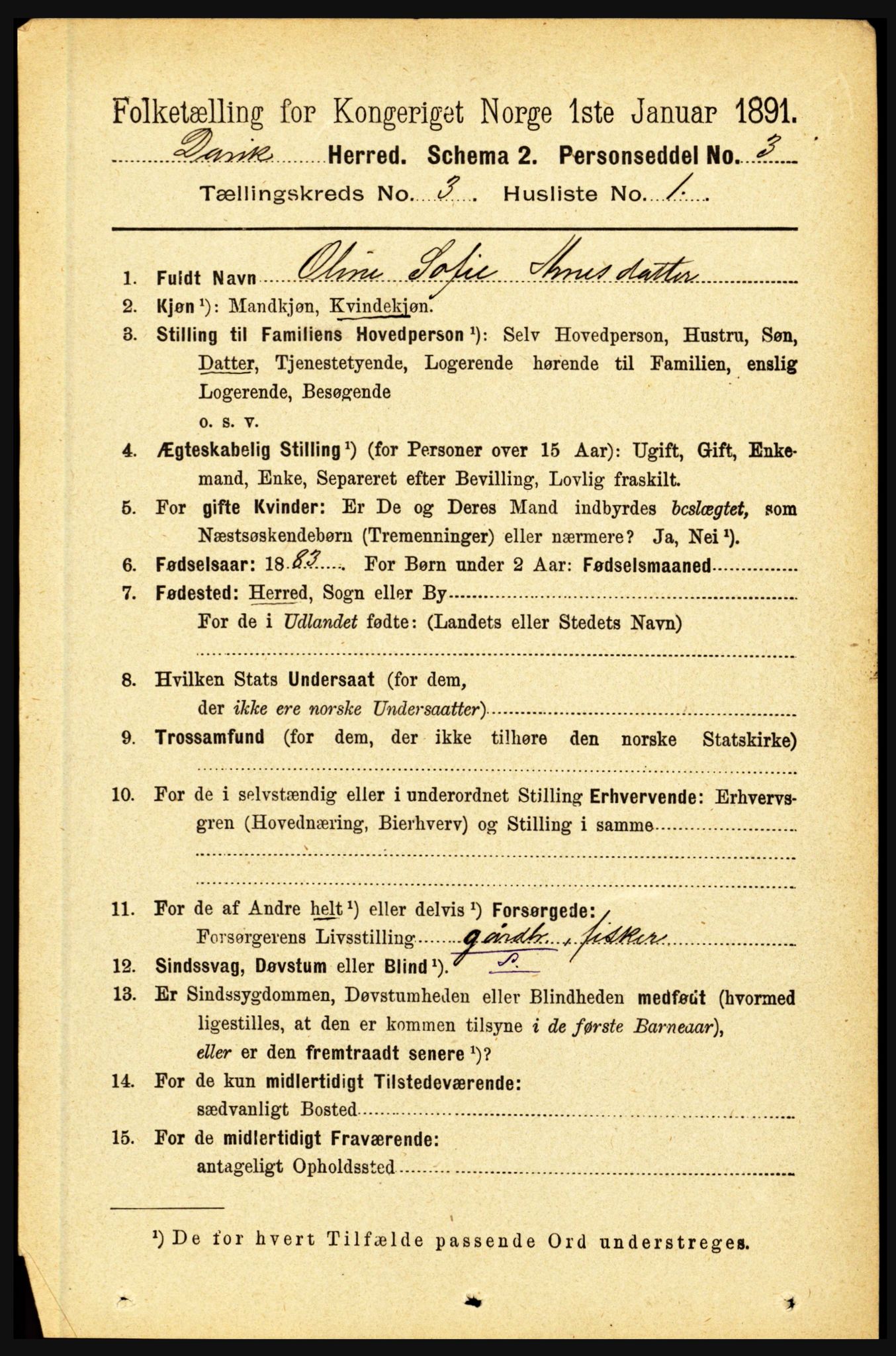 RA, 1891 census for 1442 Davik, 1891, p. 982