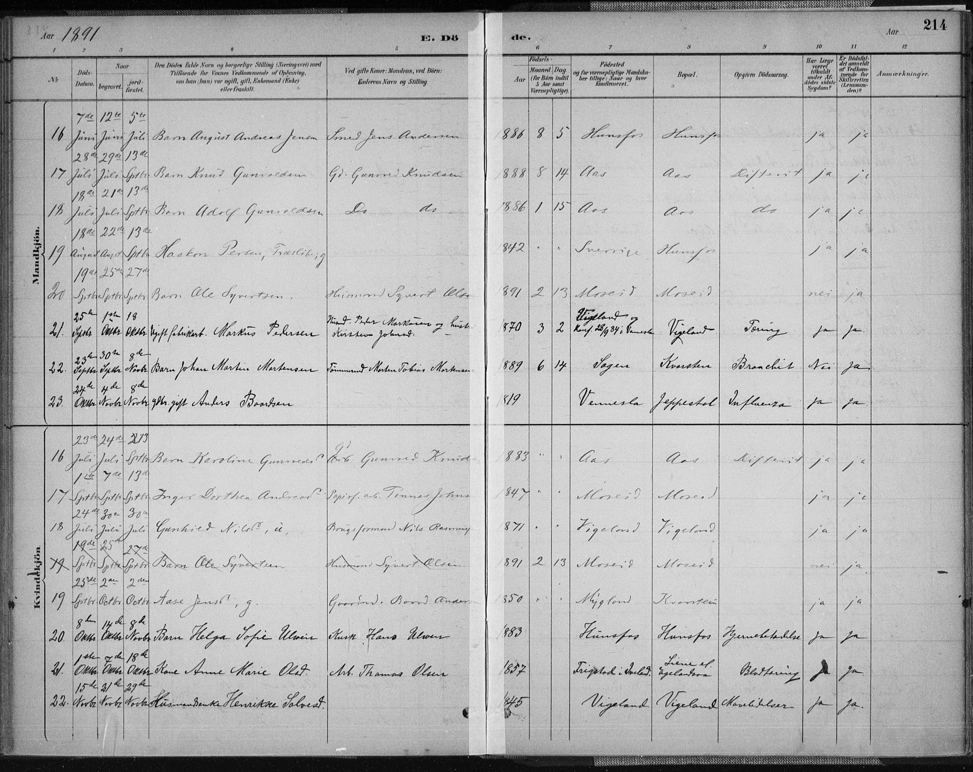 Vennesla sokneprestkontor, AV/SAK-1111-0045/Fa/Fab/L0004: Parish register (official) no. A 4, 1884-1896, p. 214