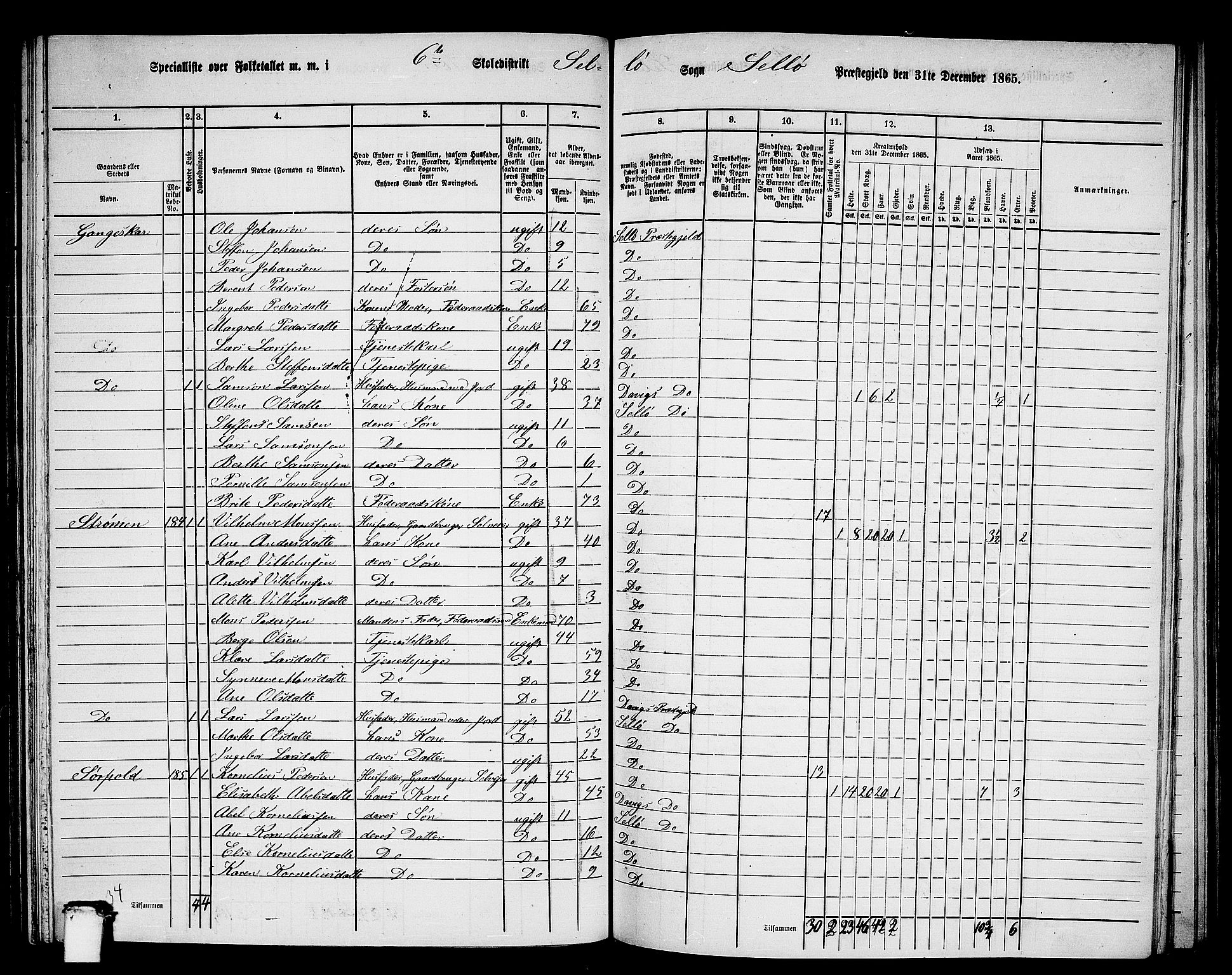 RA, 1865 census for Selje, 1865, p. 100