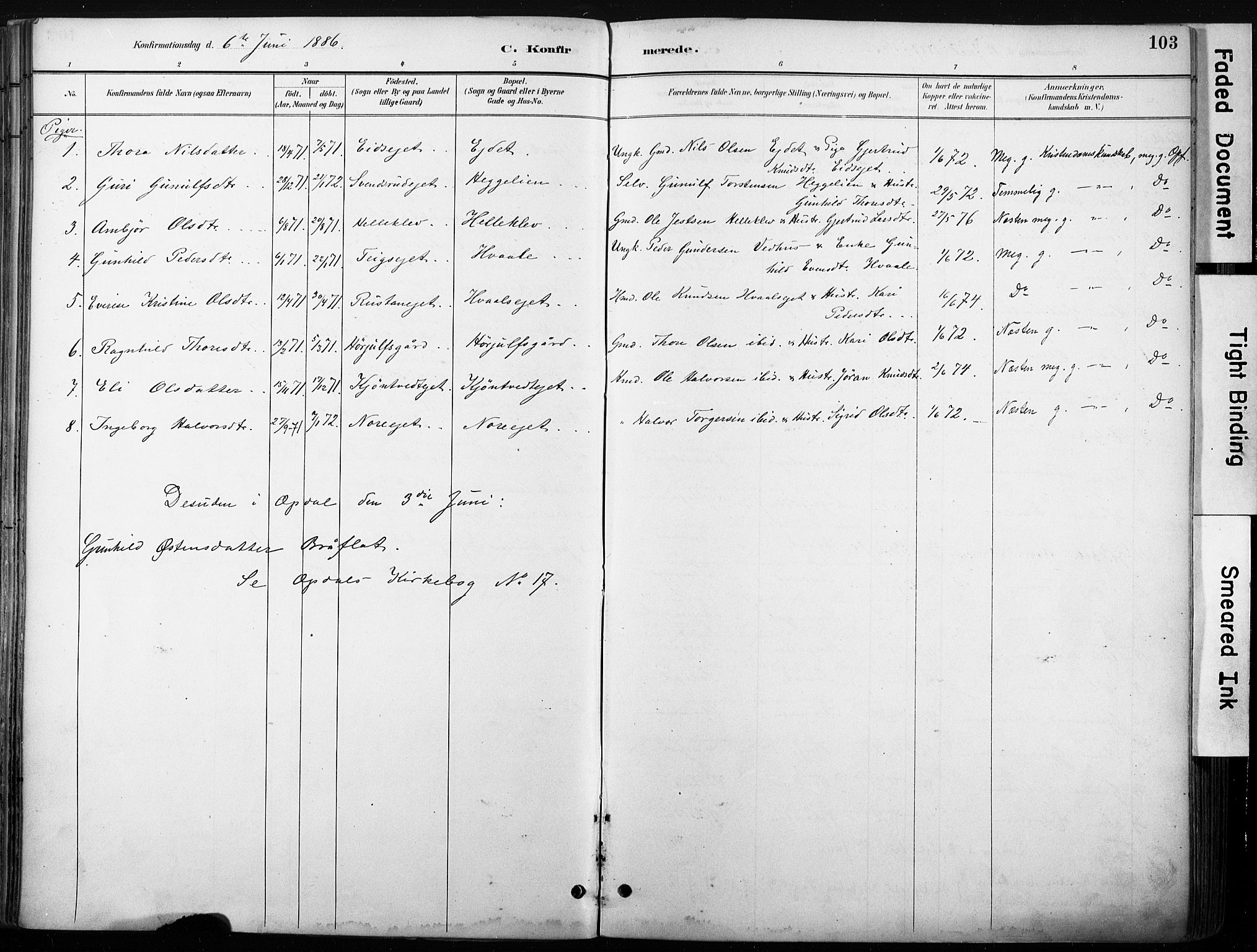 Nore kirkebøker, SAKO/A-238/F/Fb/L0002: Parish register (official) no. II 2, 1886-1906, p. 103
