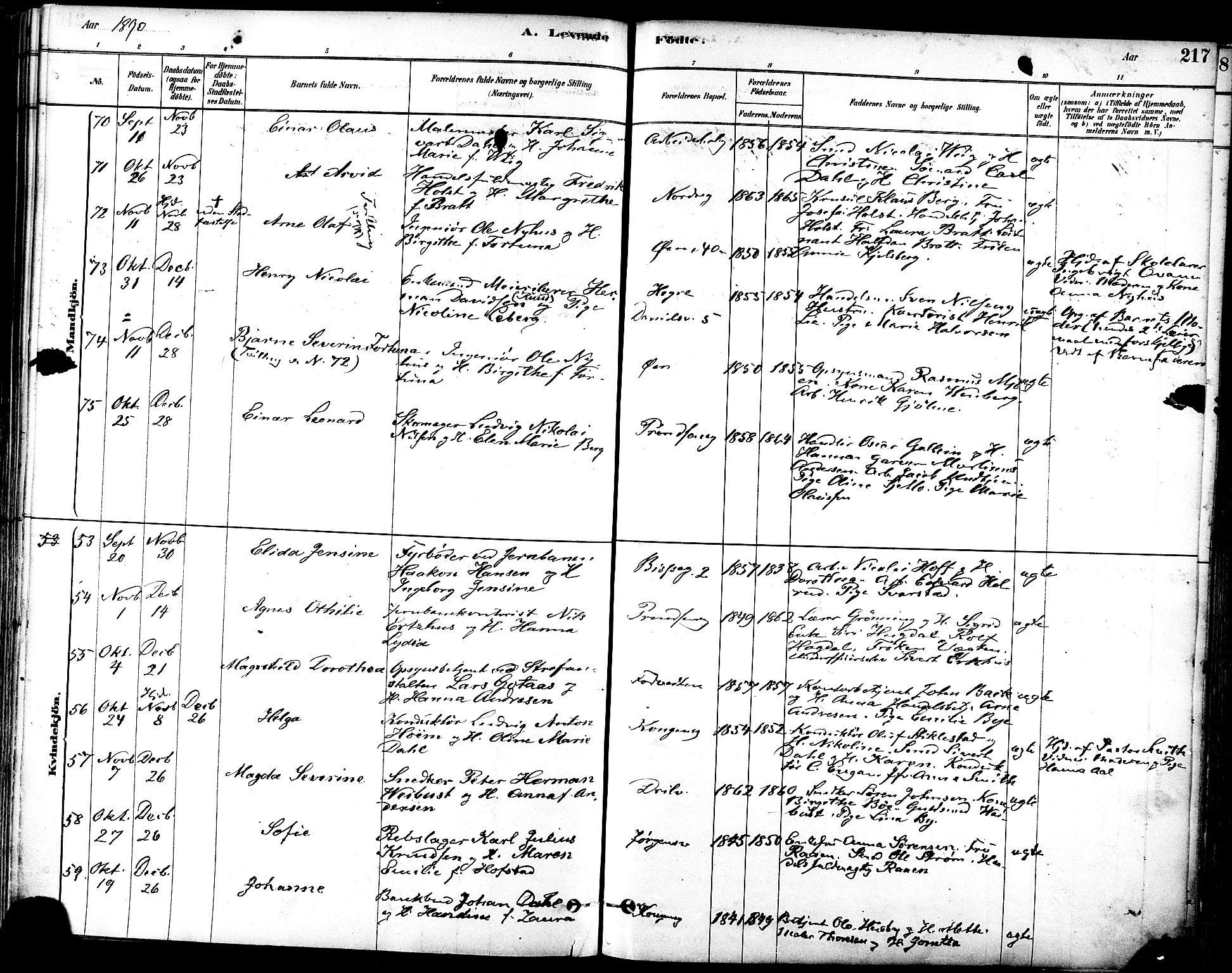 Ministerialprotokoller, klokkerbøker og fødselsregistre - Sør-Trøndelag, SAT/A-1456/601/L0057: Parish register (official) no. 601A25, 1877-1891, p. 217
