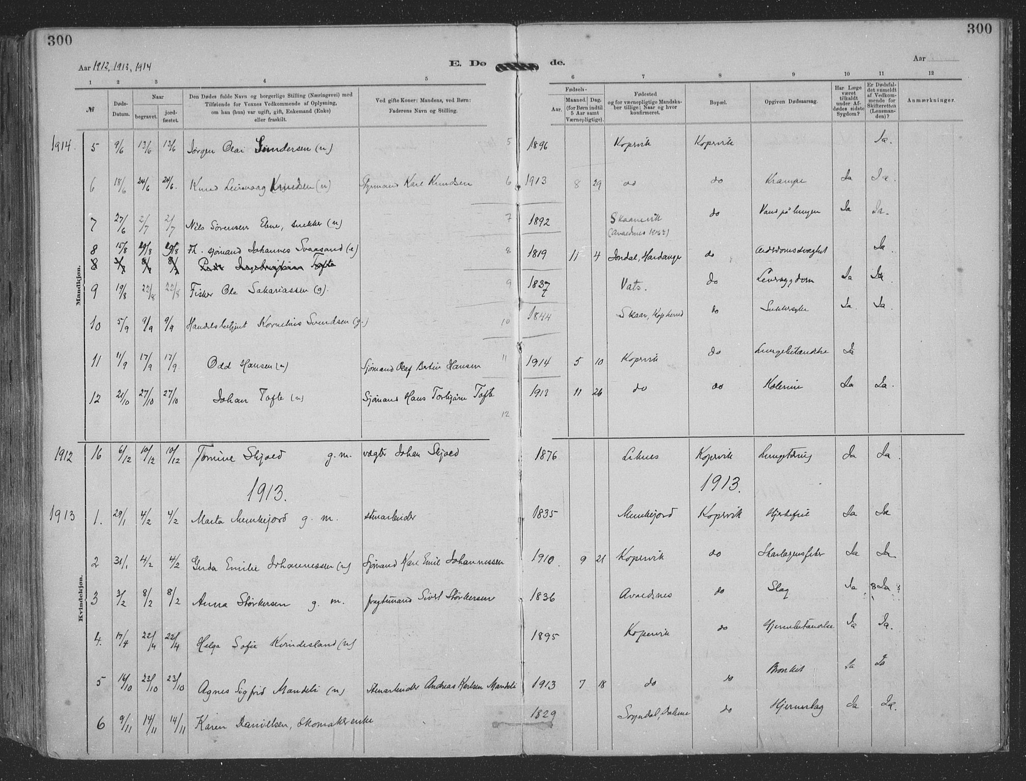 Kopervik sokneprestkontor, AV/SAST-A-101850/H/Ha/Haa/L0001: Parish register (official) no. A 1, 1880-1919, p. 300