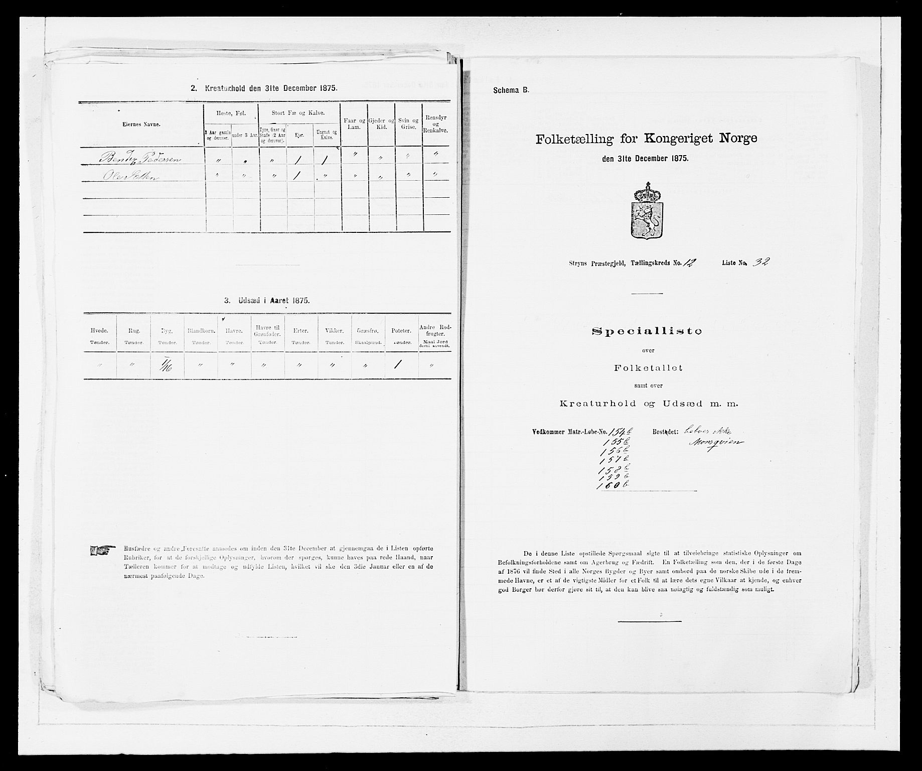 SAB, 1875 Census for 1448P Stryn, 1875, p. 768