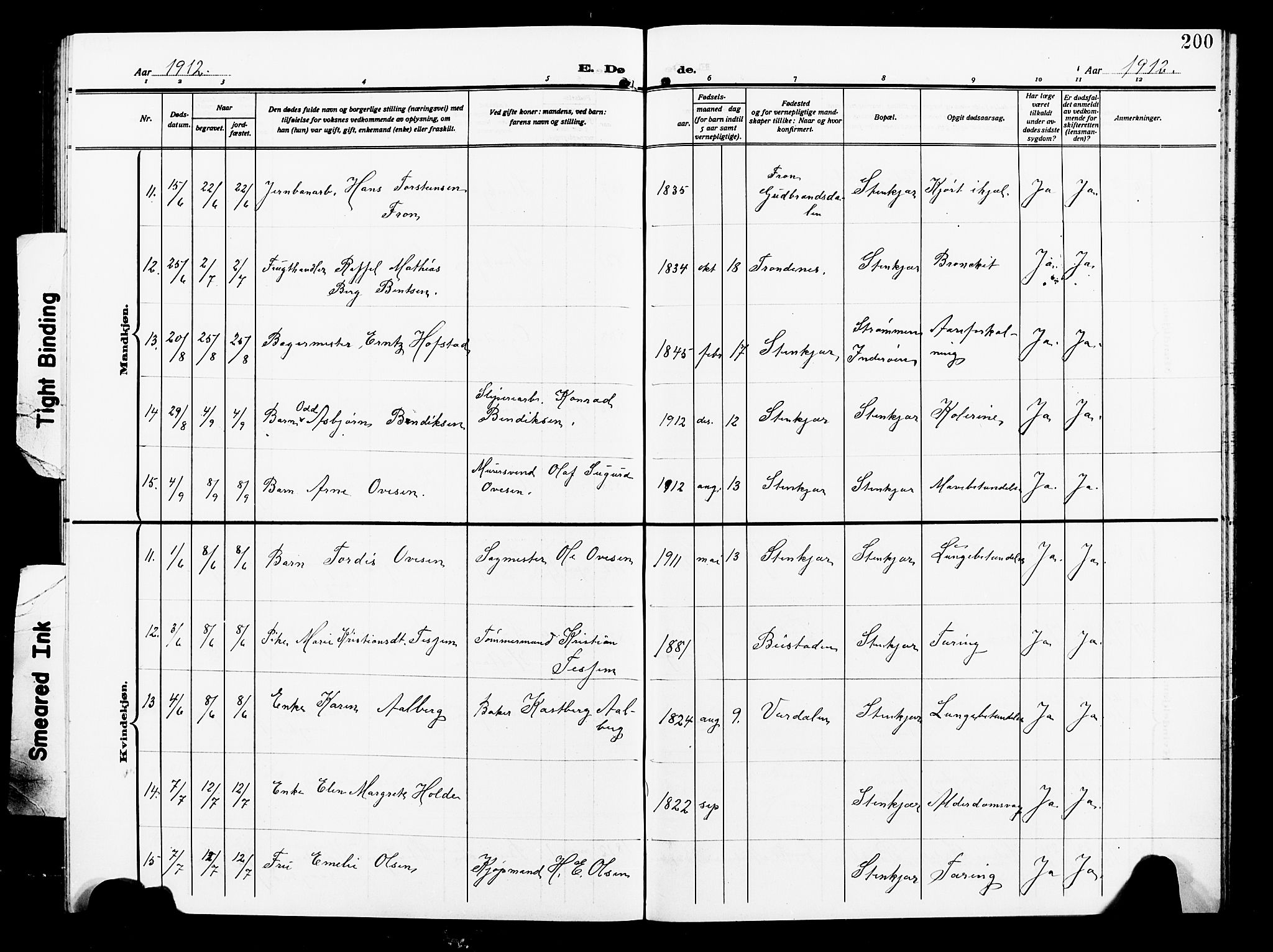 Ministerialprotokoller, klokkerbøker og fødselsregistre - Nord-Trøndelag, AV/SAT-A-1458/739/L0376: Parish register (copy) no. 739C04, 1908-1917, p. 200