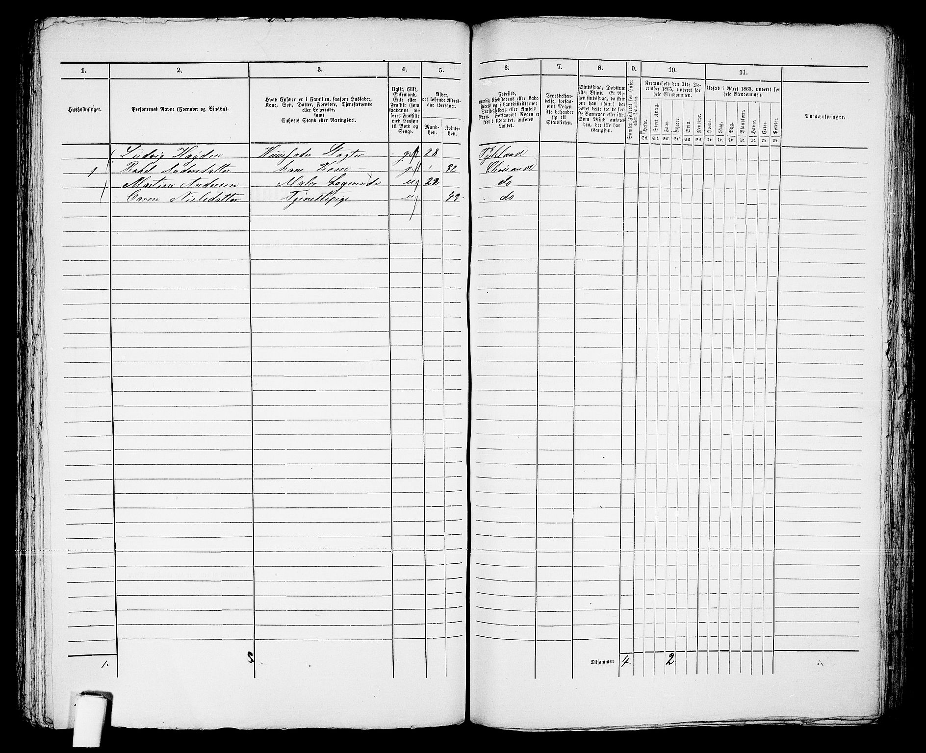 RA, 1865 census for Kristiansand, 1865, p. 895