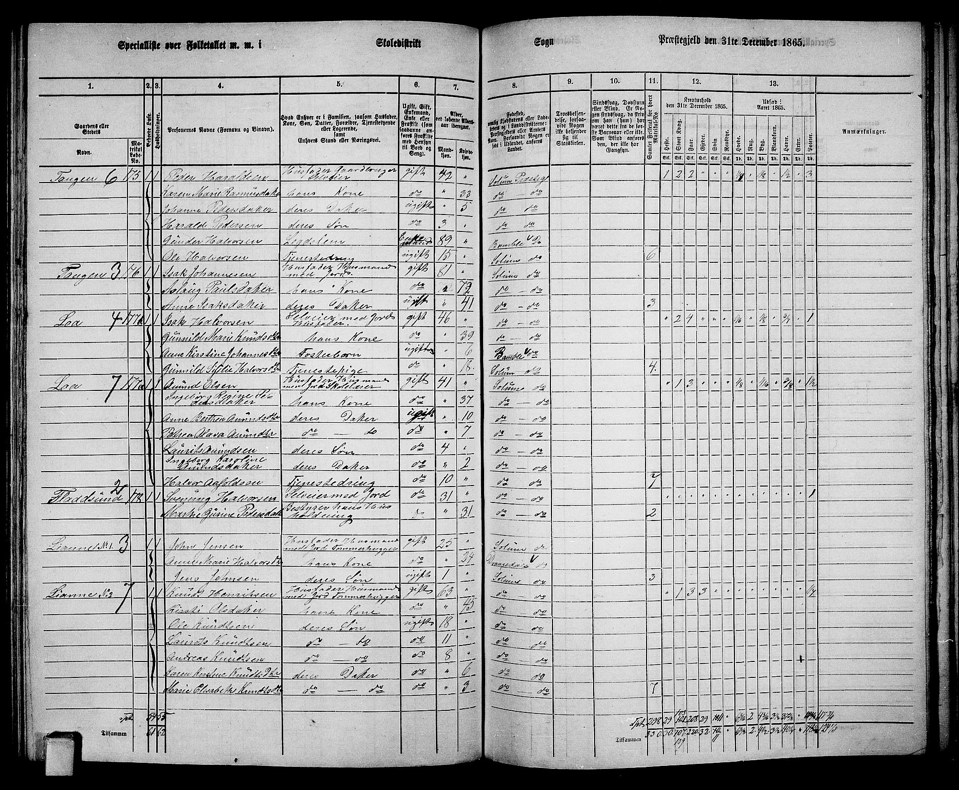 RA, 1865 census for Solum, 1865, p. 146