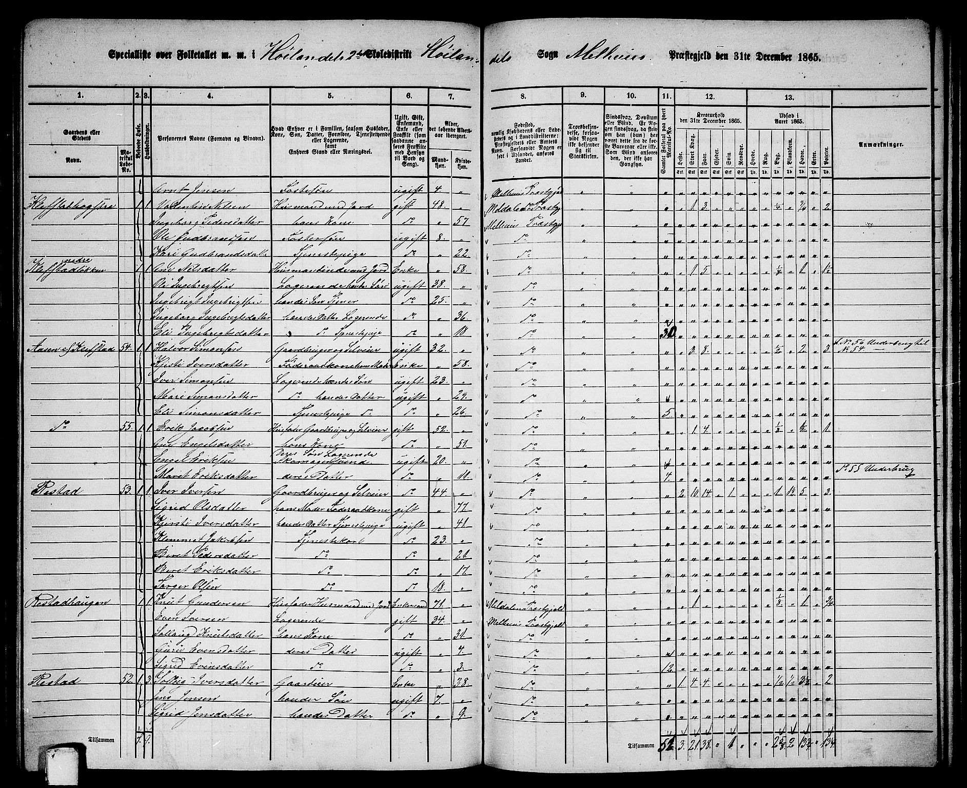 RA, 1865 census for Melhus, 1865, p. 183