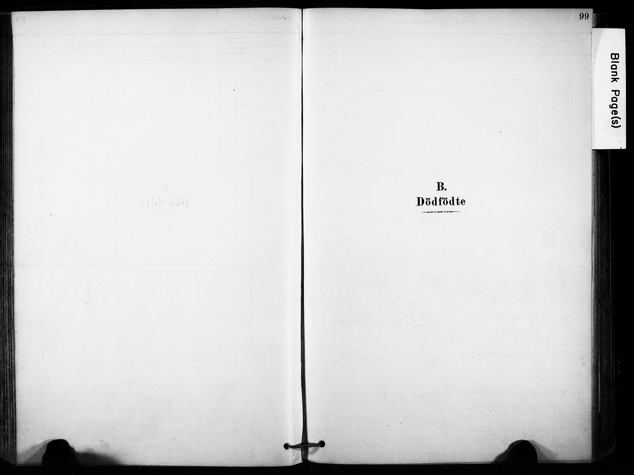 Brunlanes kirkebøker, AV/SAKO-A-342/F/Fb/L0001: Parish register (official) no. II 1, 1878-1899, p. 99