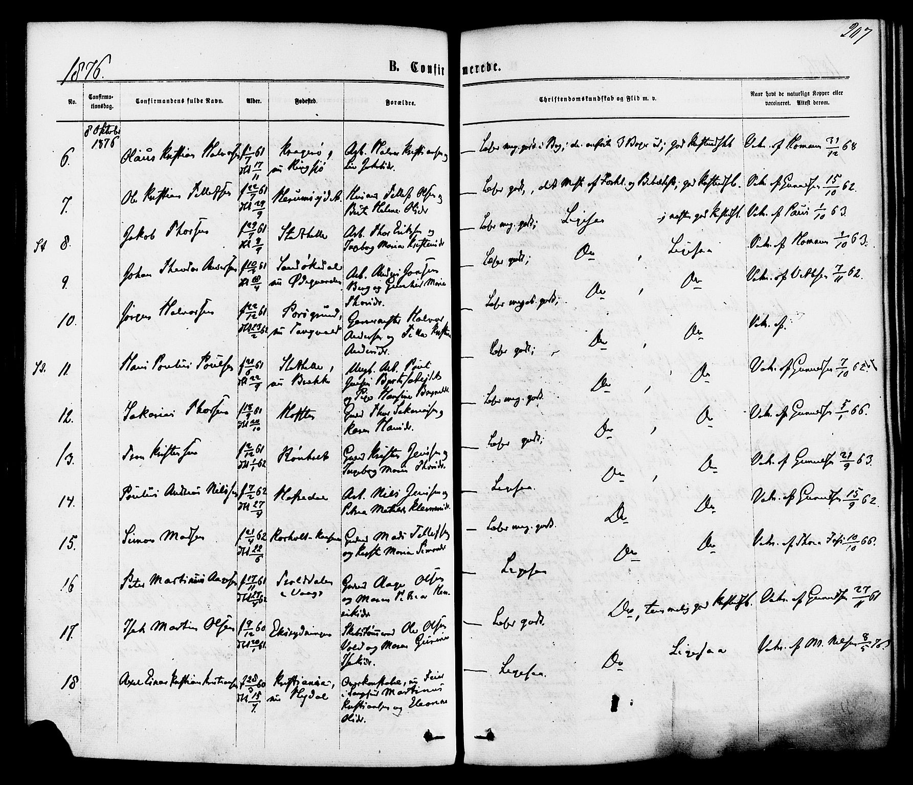 Bamble kirkebøker, AV/SAKO-A-253/F/Fa/L0006: Parish register (official) no. I 6, 1869-1877, p. 207