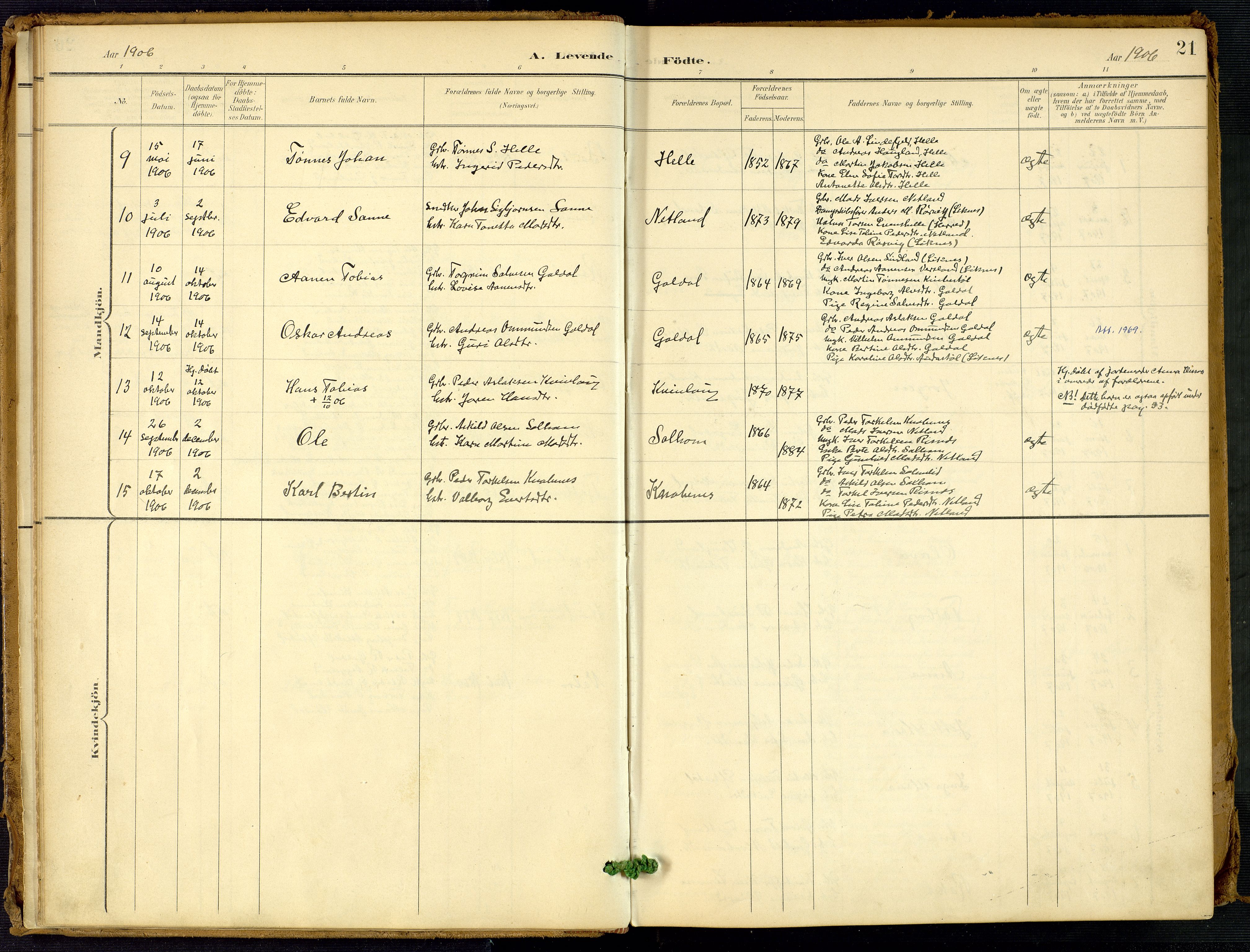 Fjotland sokneprestkontor, AV/SAK-1111-0010/F/Fa/L0003: Parish register (official) no. A 3, 1899-1917, p. 21