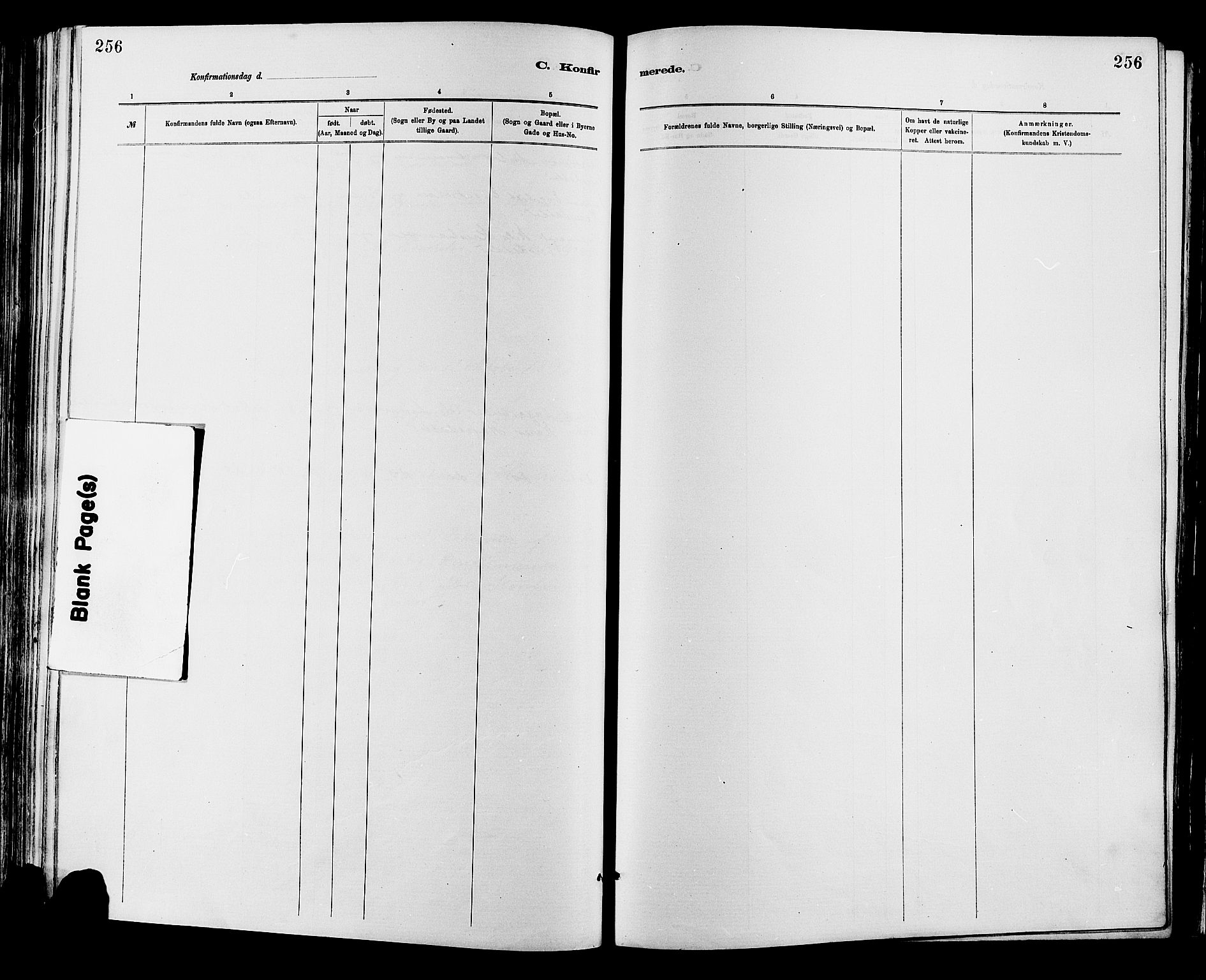 Sør-Fron prestekontor, AV/SAH-PREST-010/H/Ha/Haa/L0003: Parish register (official) no. 3, 1881-1897, p. 256