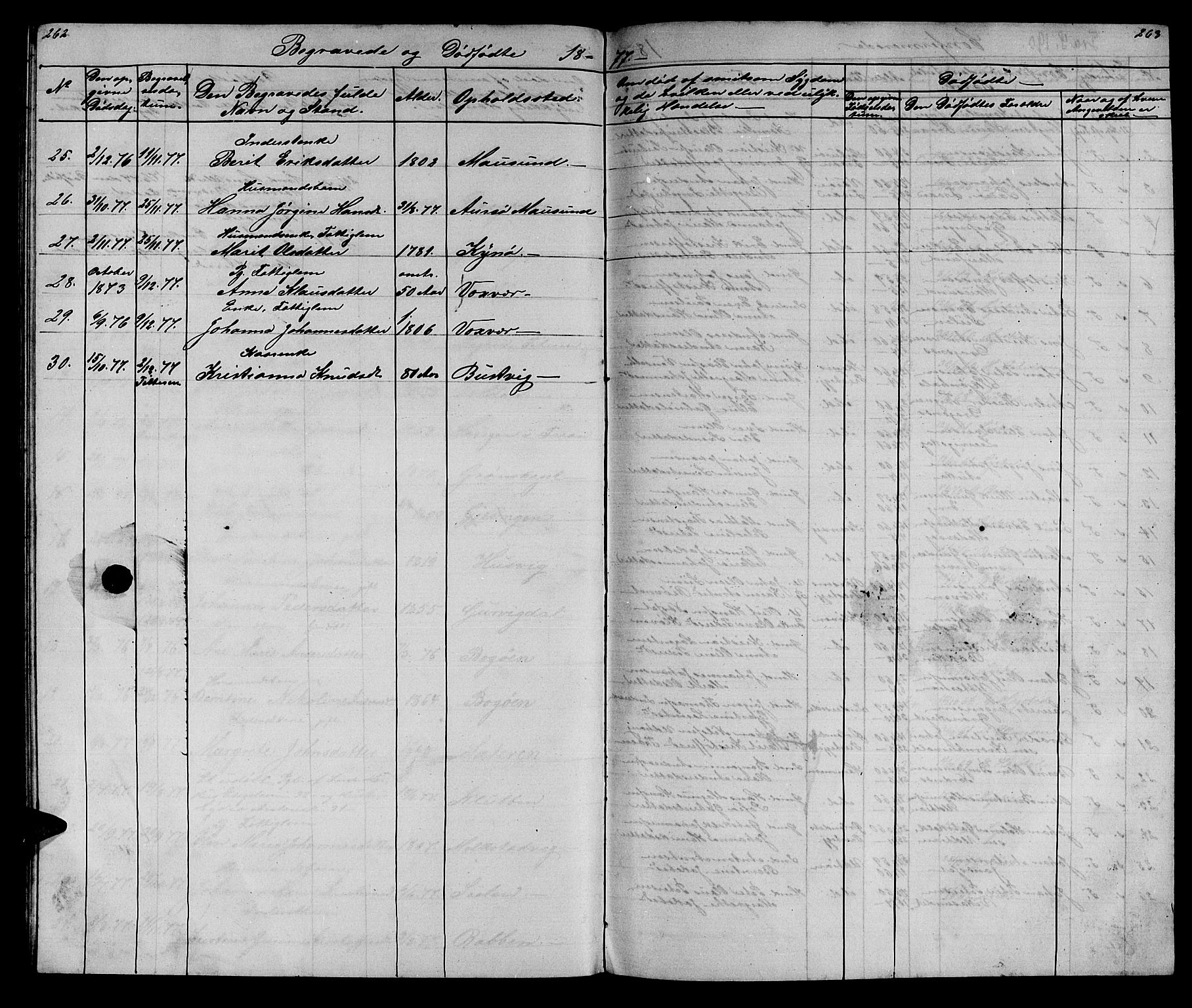 Ministerialprotokoller, klokkerbøker og fødselsregistre - Sør-Trøndelag, AV/SAT-A-1456/640/L0583: Parish register (copy) no. 640C01, 1866-1877, p. 262-263