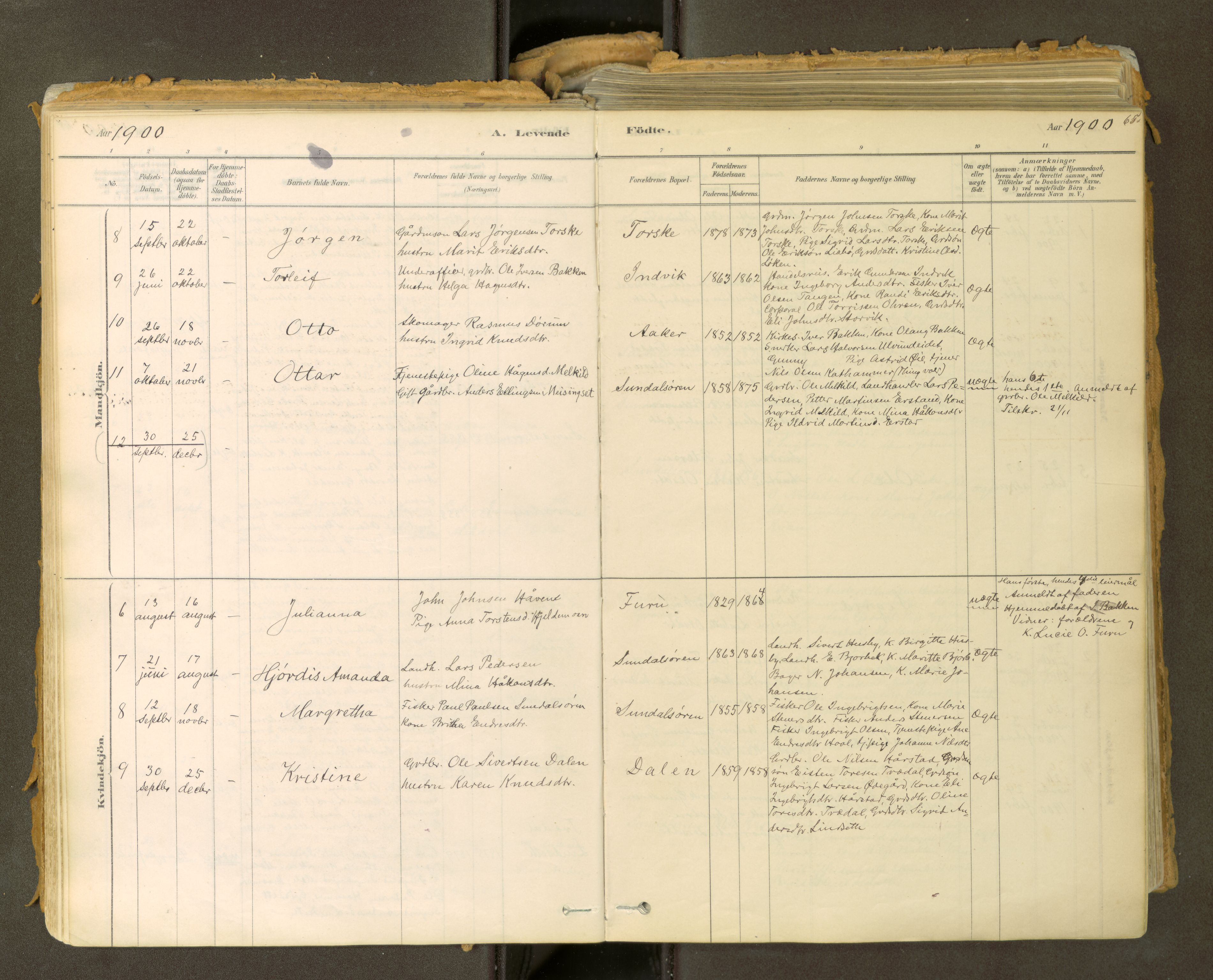 Sunndal sokneprestkontor, SAT/A-1085/1/I/I1/I1a: Parish register (official) no. 2, 1877-1914, p. 65