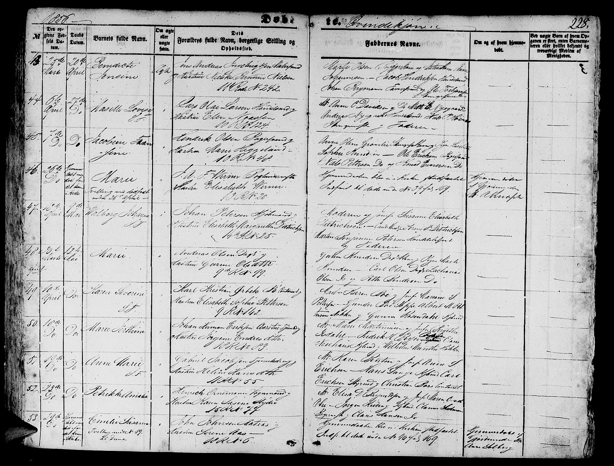 Domkirken sokneprestembete, AV/SAB-A-74801/H/Hab/L0010: Parish register (copy) no. B 3, 1849-1856, p. 228