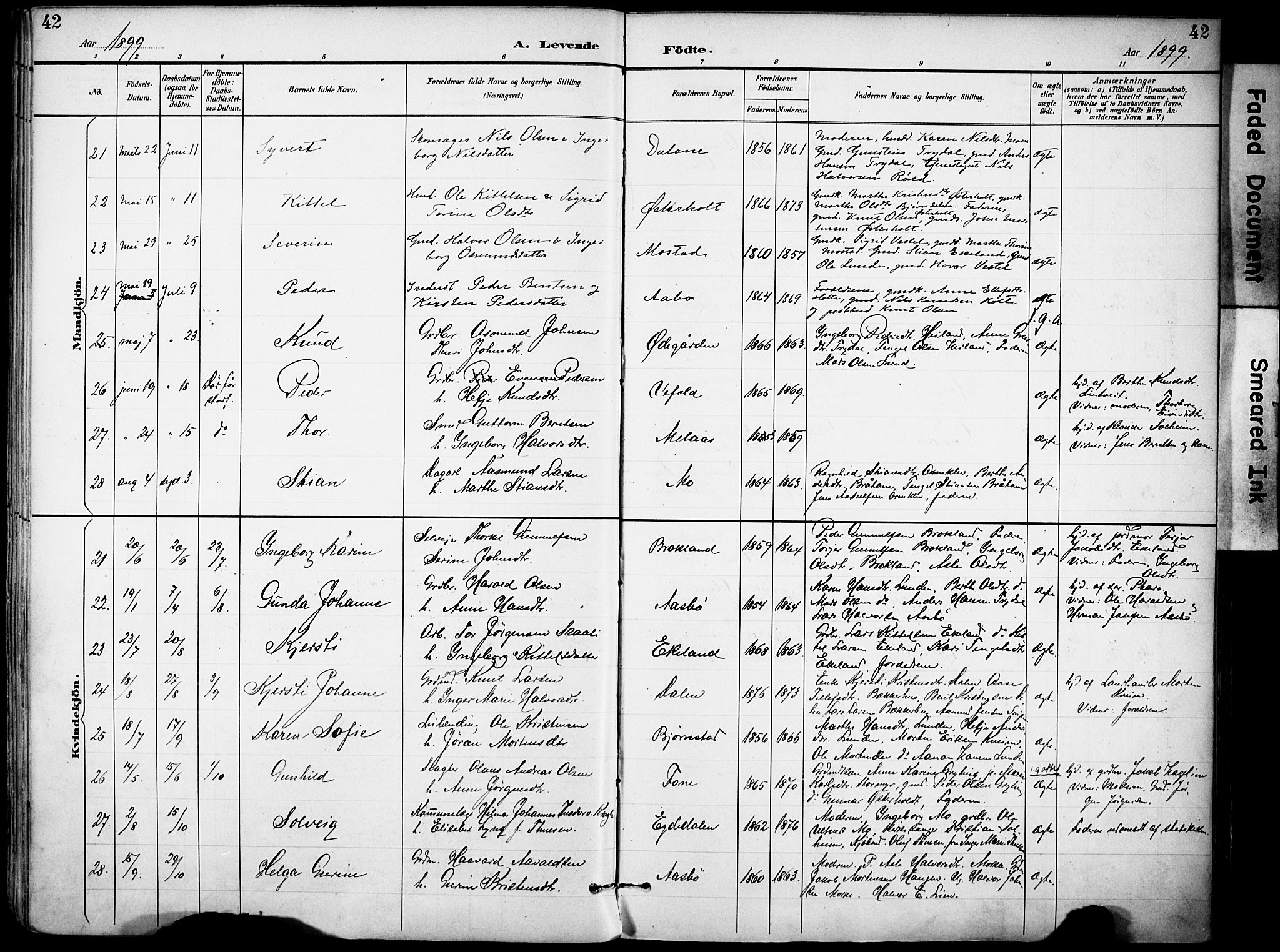 Gjerstad sokneprestkontor, AV/SAK-1111-0014/F/Fa/Faa/L0010: Parish register (official) no. A 10, 1891-1902, p. 42