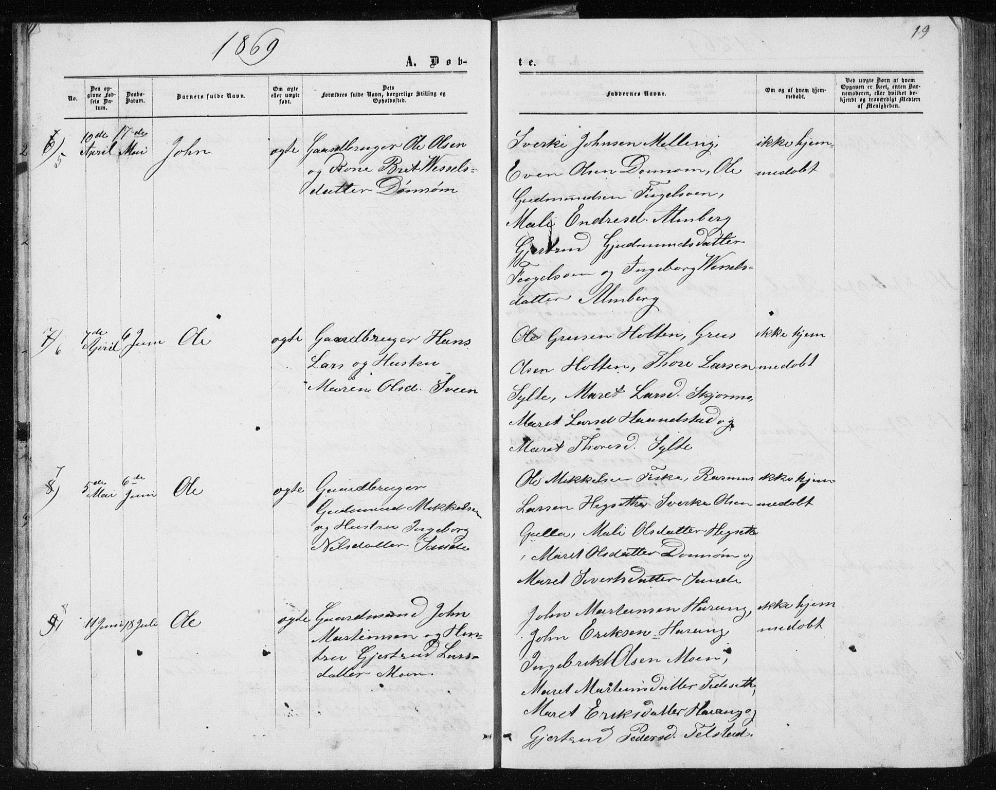 Ministerialprotokoller, klokkerbøker og fødselsregistre - Møre og Romsdal, AV/SAT-A-1454/597/L1064: Parish register (copy) no. 597C01, 1866-1898, p. 19