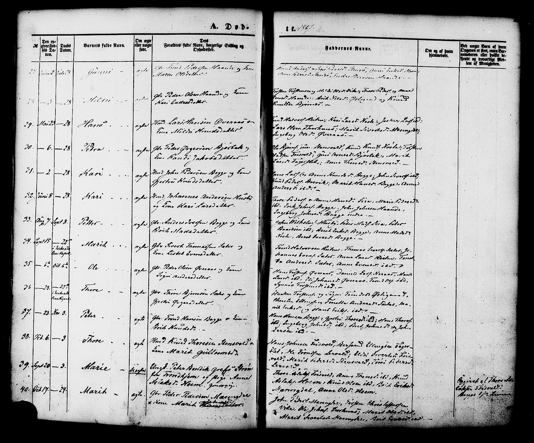 Ministerialprotokoller, klokkerbøker og fødselsregistre - Møre og Romsdal, AV/SAT-A-1454/552/L0637: Parish register (official) no. 552A01, 1845-1879, p. 55