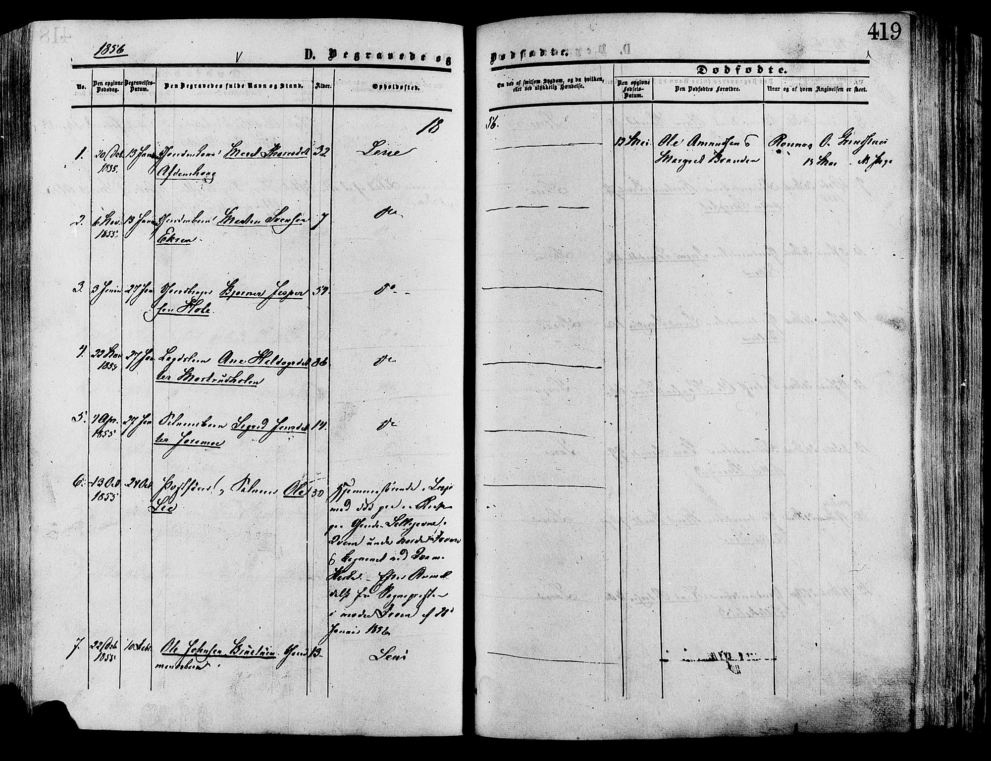 Lesja prestekontor, SAH/PREST-068/H/Ha/Haa/L0008: Parish register (official) no. 8, 1854-1880, p. 419