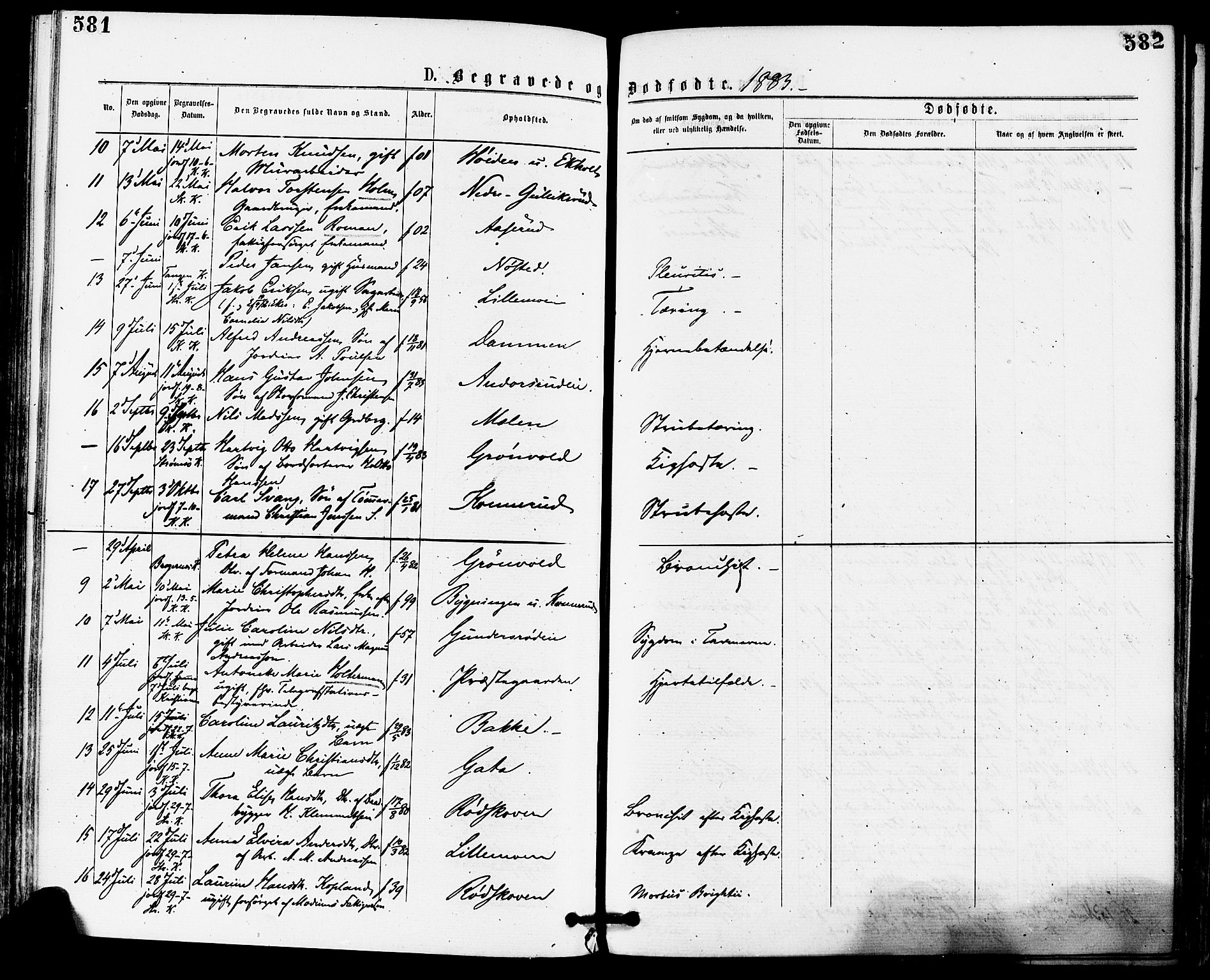 Skoger kirkebøker, AV/SAKO-A-59/F/Fa/L0005: Parish register (official) no. I 5, 1873-1884, p. 581-582