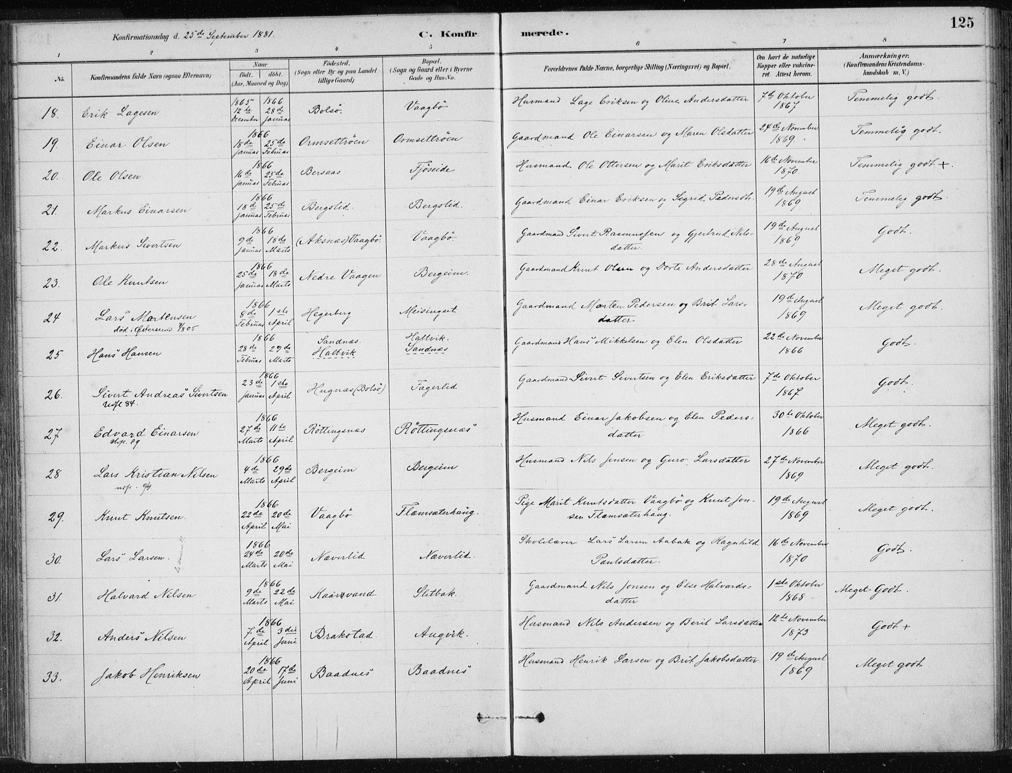 Ministerialprotokoller, klokkerbøker og fødselsregistre - Møre og Romsdal, AV/SAT-A-1454/586/L0987: Parish register (official) no. 586A13, 1879-1892, p. 125