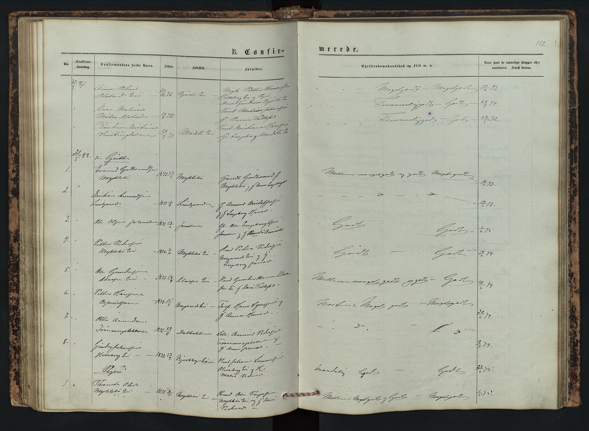 Vestre Gausdal prestekontor, SAH/PREST-094/H/Ha/Hab/L0002: Parish register (copy) no. 2, 1874-1897, p. 112