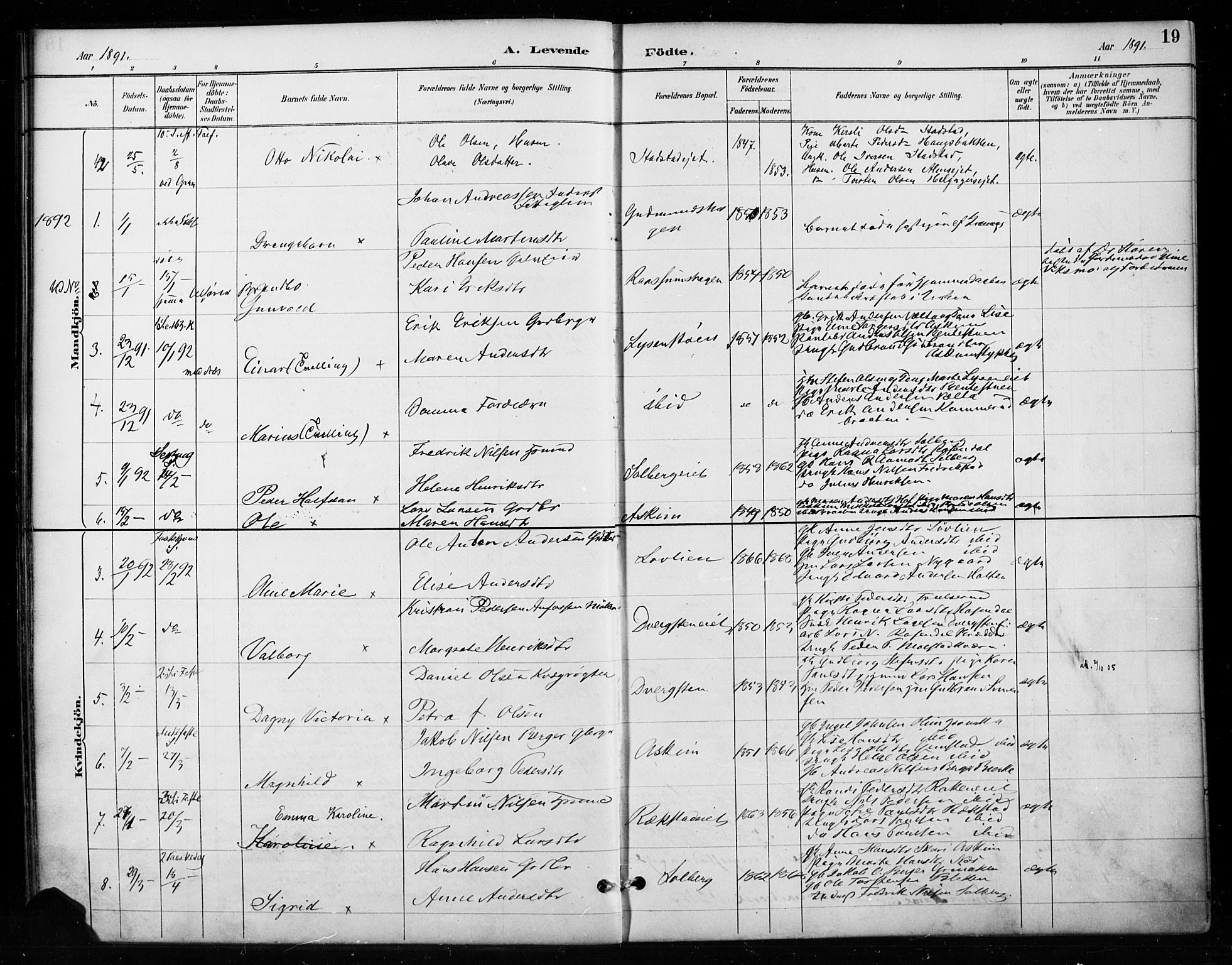 Gran prestekontor, SAH/PREST-112/H/Ha/Haa/L0018: Parish register (official) no. 18, 1889-1899, p. 19