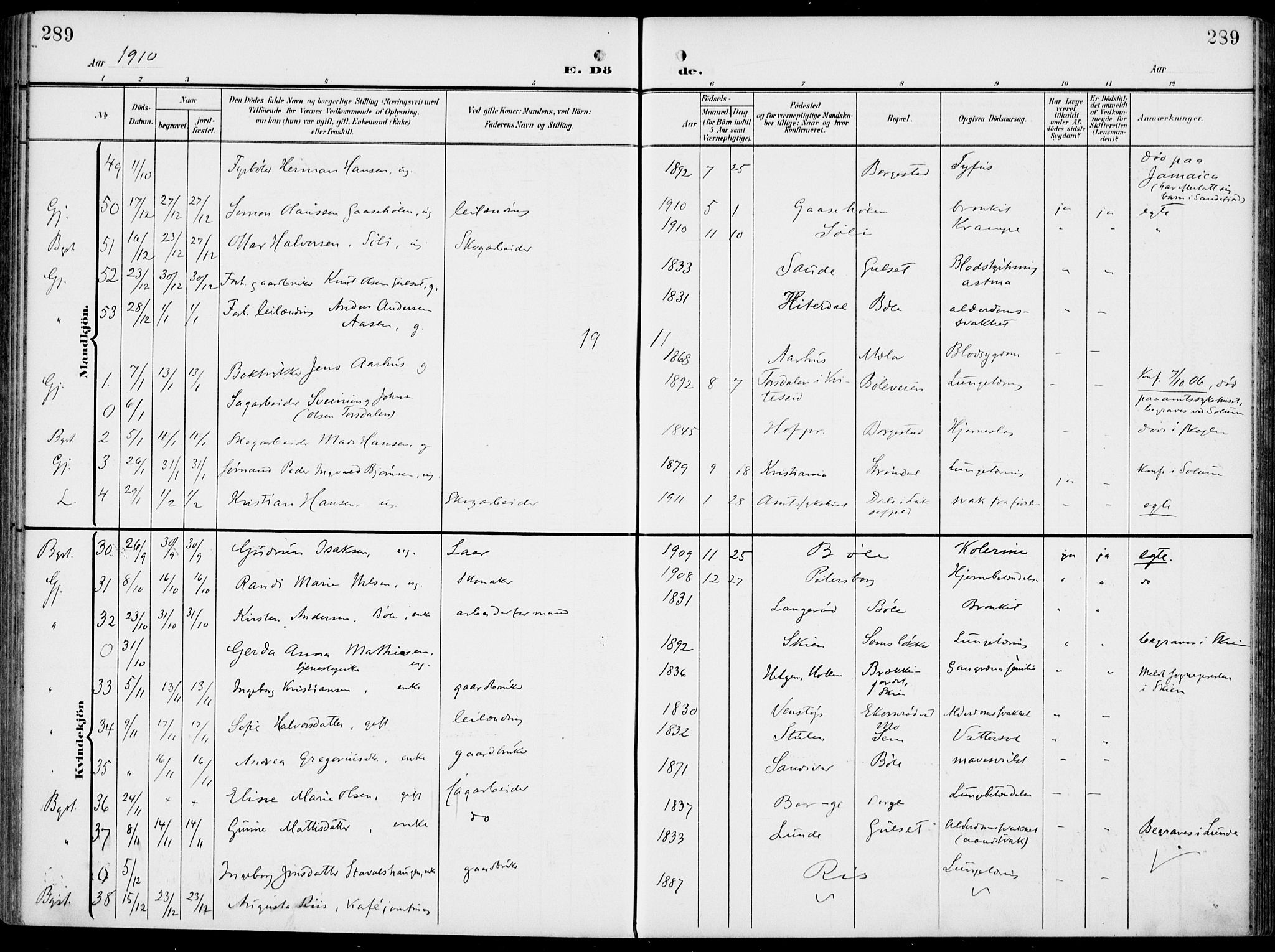 Gjerpen kirkebøker, SAKO/A-265/F/Fa/L0012: Parish register (official) no. I 12, 1905-1913, p. 289