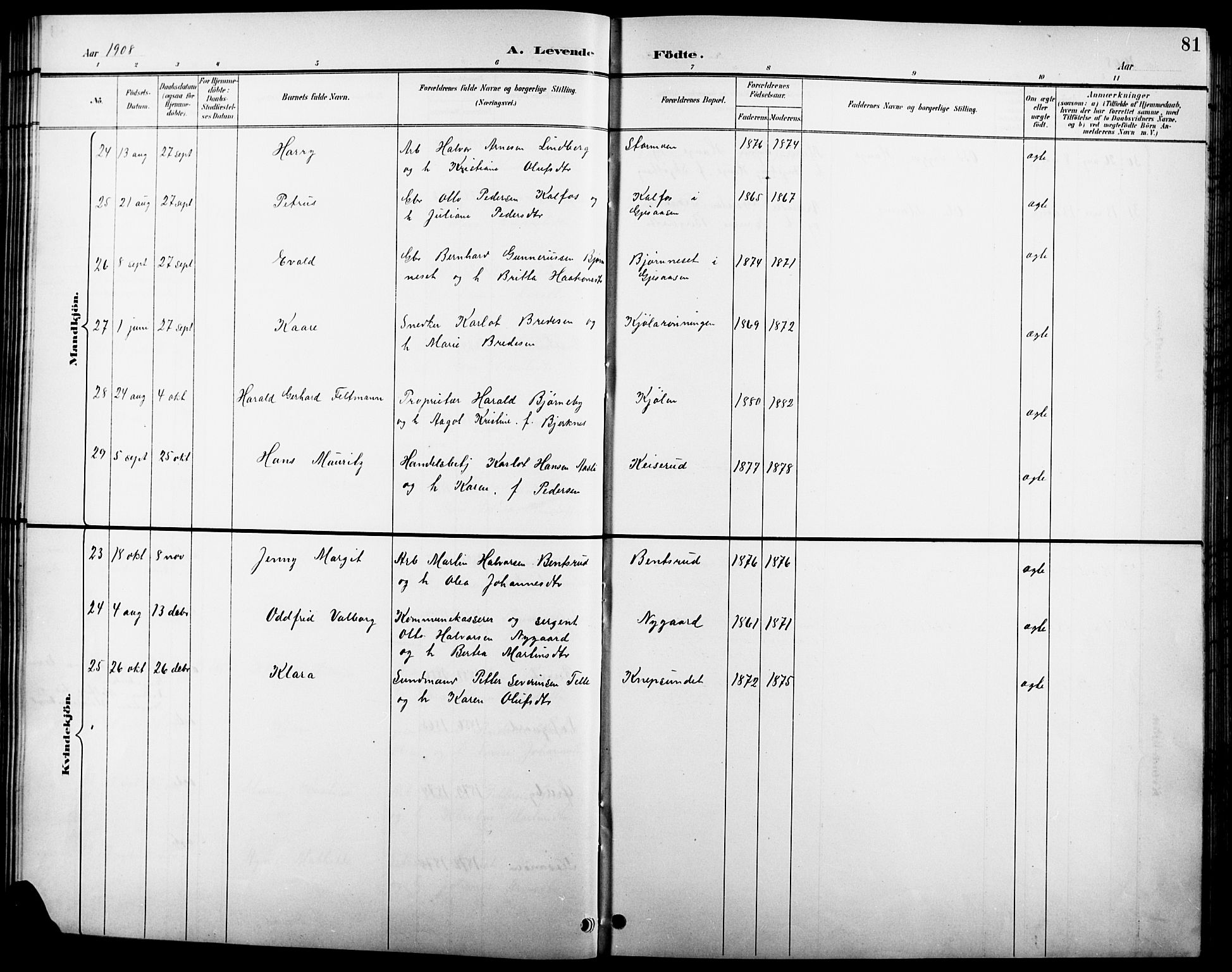 Åsnes prestekontor, AV/SAH-PREST-042/H/Ha/Hab/L0004: Parish register (copy) no. 4, 1895-1909, p. 81