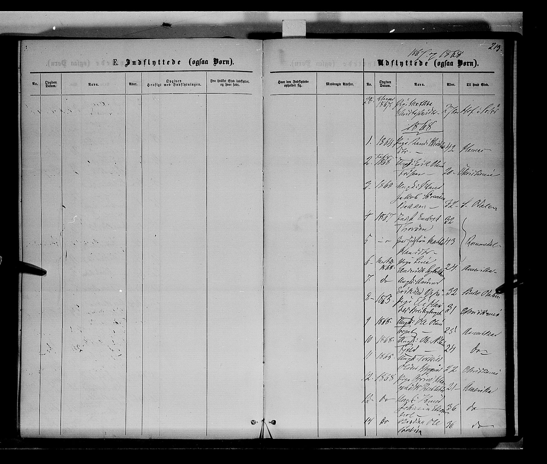 Nord-Odal prestekontor, AV/SAH-PREST-032/H/Ha/Haa/L0004: Parish register (official) no. 4, 1866-1873, p. 213