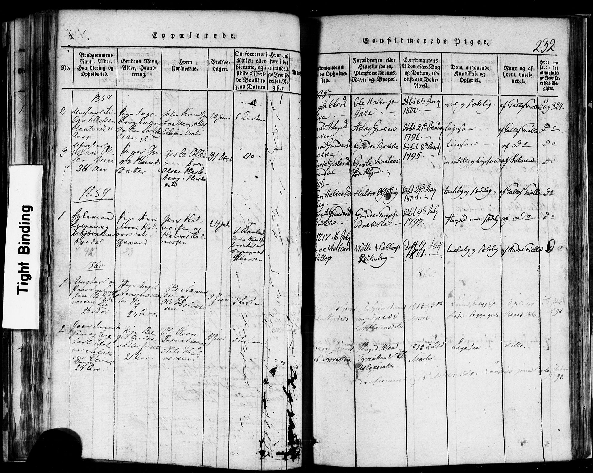 Rauland kirkebøker, SAKO/A-292/F/Fa/L0002: Parish register (official) no. 2, 1815-1860, p. 232