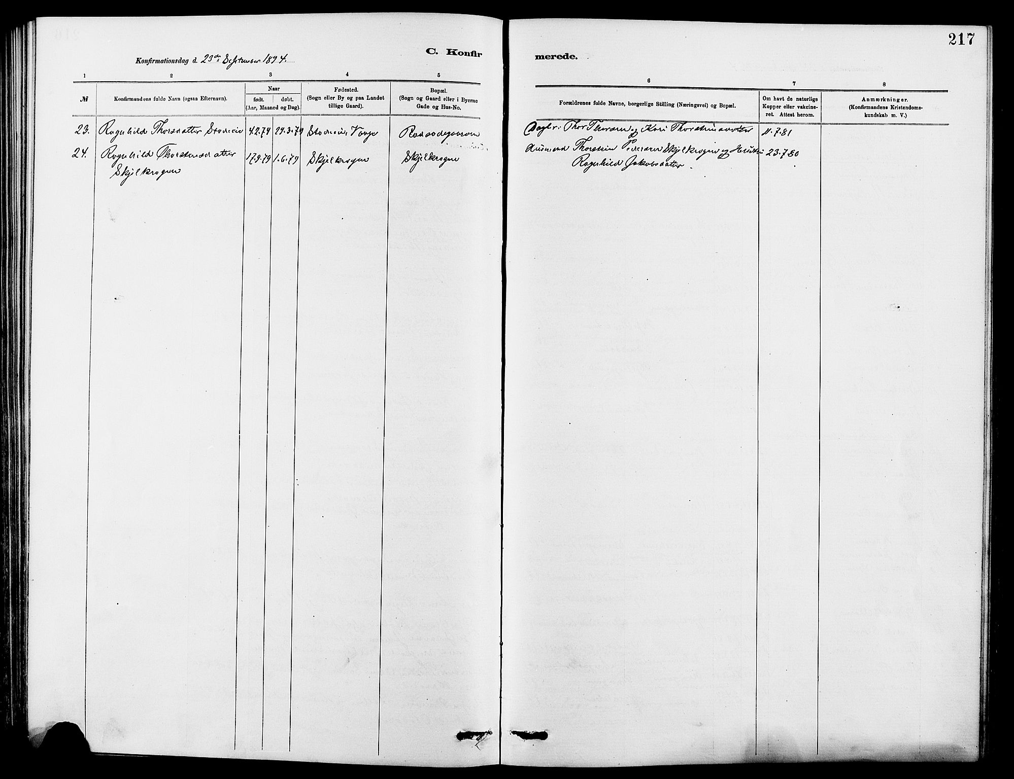 Dovre prestekontor, SAH/PREST-066/H/Ha/Hab/L0002: Parish register (copy) no. 2, 1881-1907, p. 217