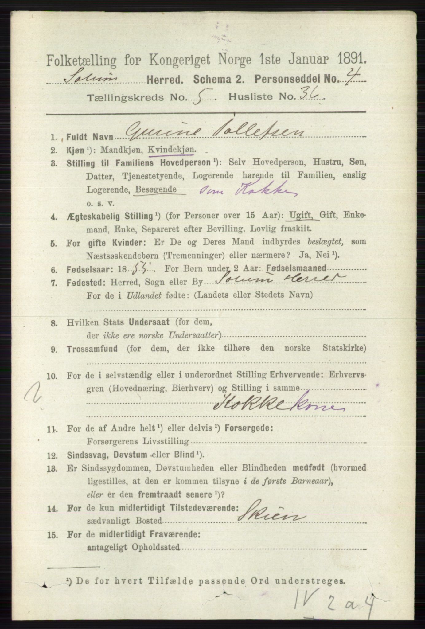 RA, 1891 census for 0818 Solum, 1891, p. 1058