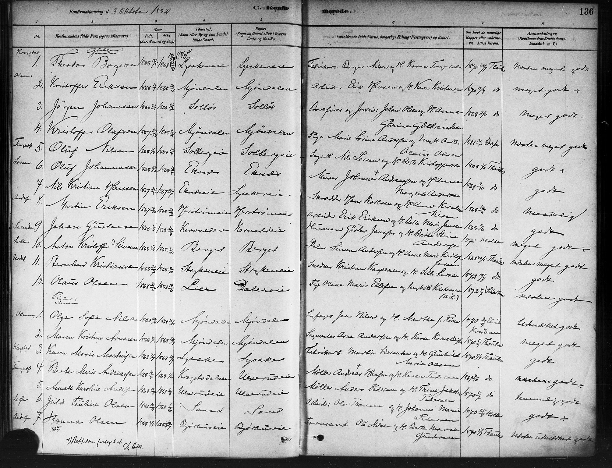 Nedre Eiker kirkebøker, SAKO/A-612/F/Fa/L0002: Parish register (official) no. 2, 1878-1885, p. 136