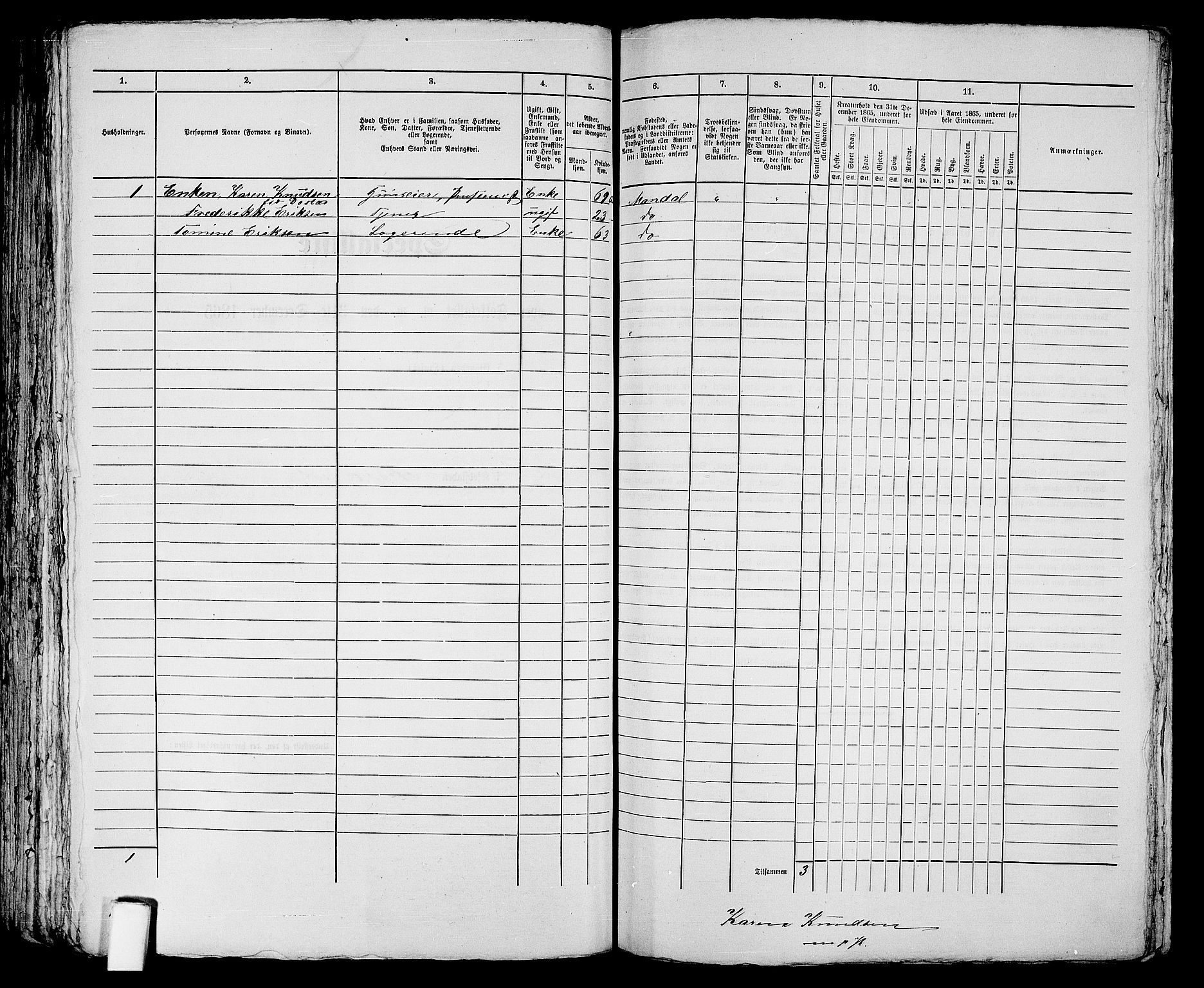 RA, 1865 census for Kristiansand, 1865, p. 1840