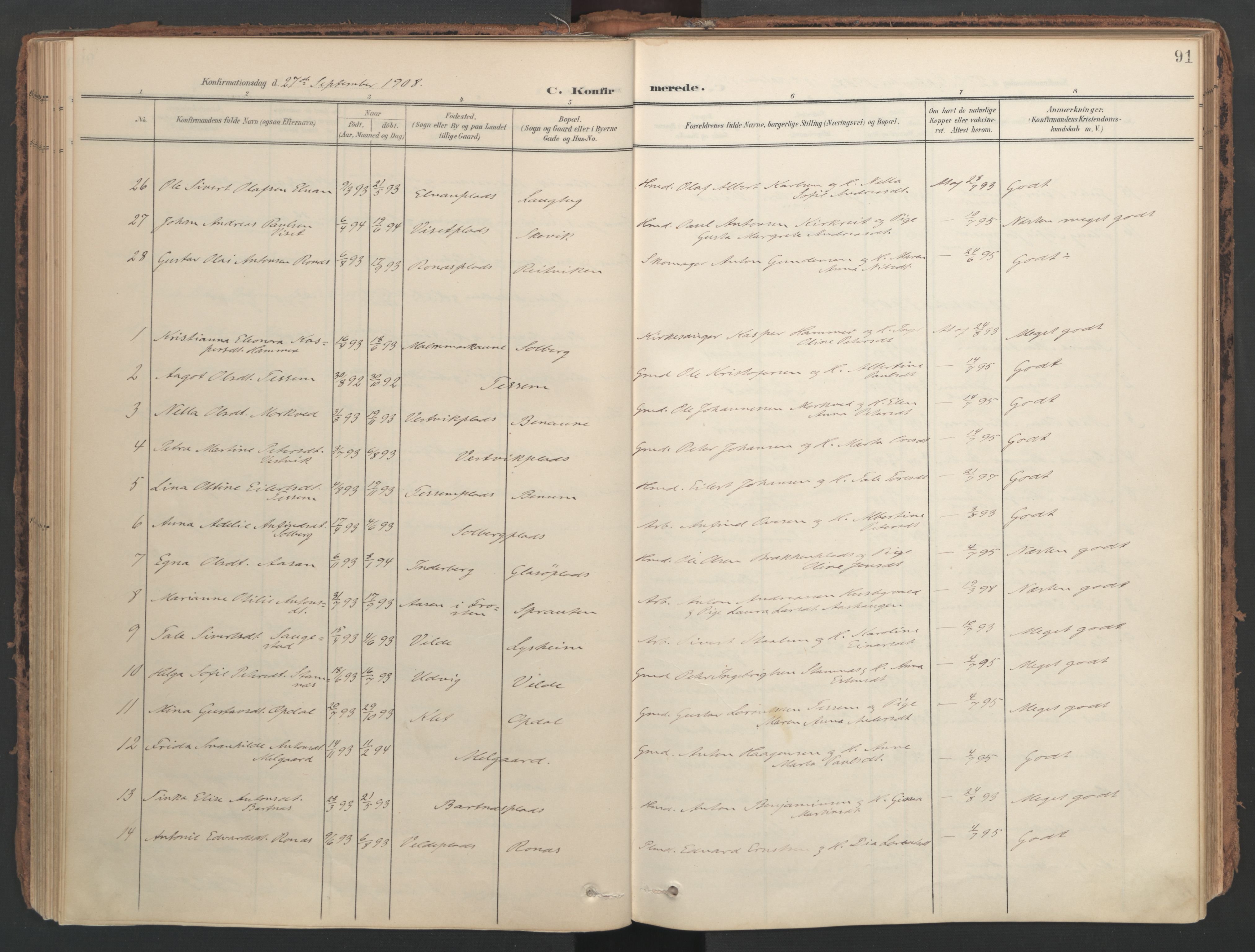 Ministerialprotokoller, klokkerbøker og fødselsregistre - Nord-Trøndelag, SAT/A-1458/741/L0397: Parish register (official) no. 741A11, 1901-1911, p. 91