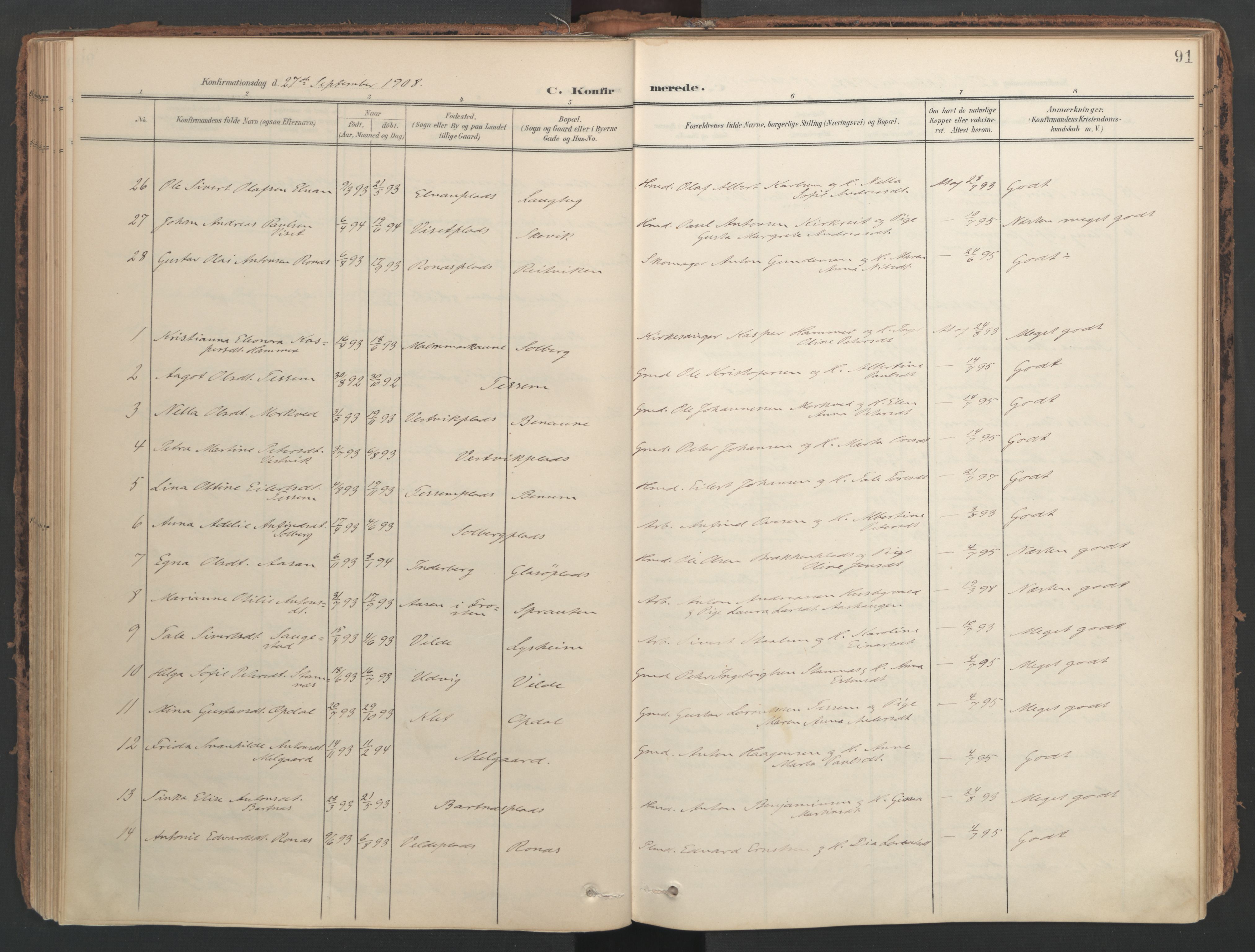 Ministerialprotokoller, klokkerbøker og fødselsregistre - Nord-Trøndelag, AV/SAT-A-1458/741/L0397: Parish register (official) no. 741A11, 1901-1911, p. 91